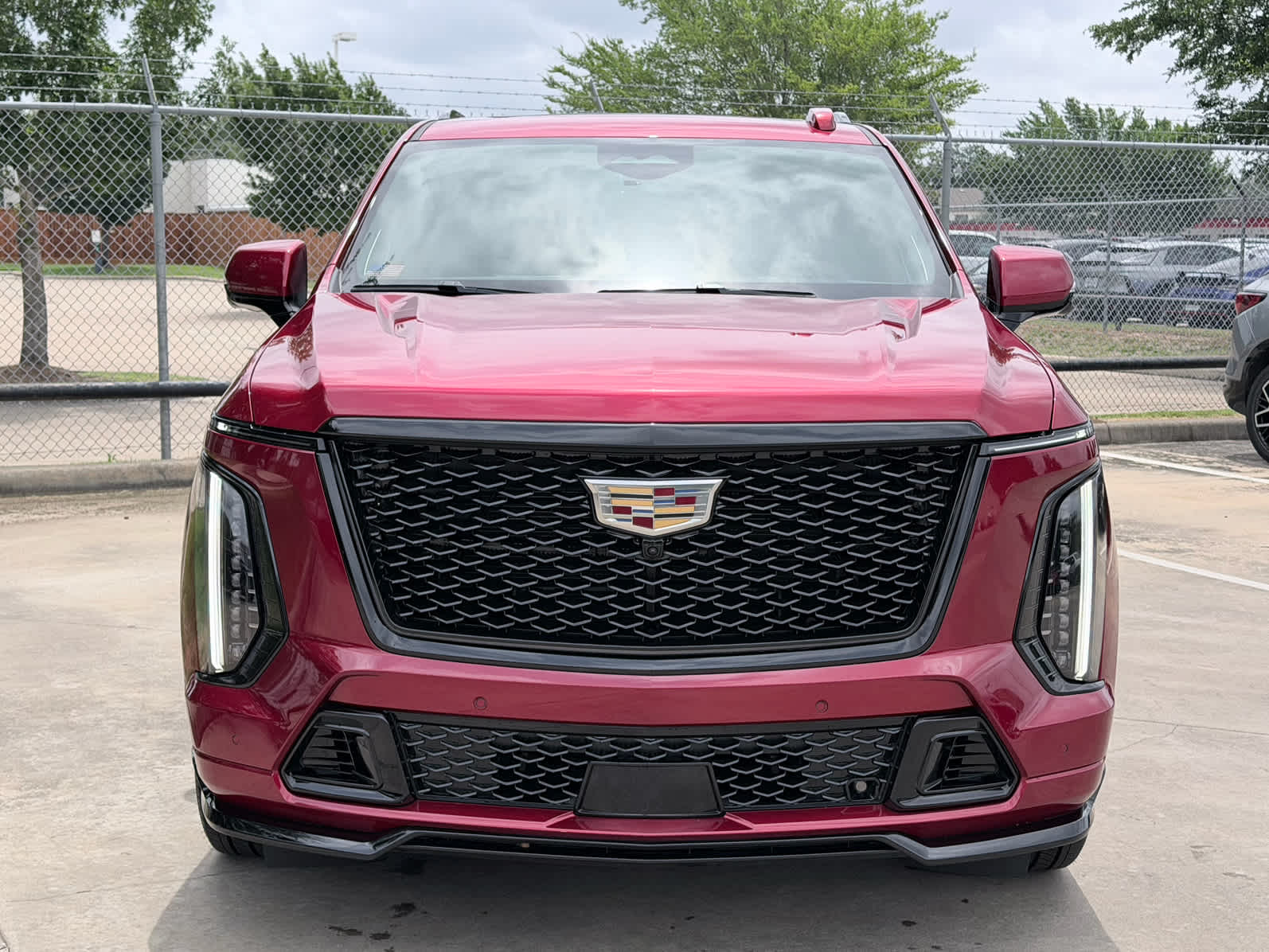 car-gallery-2