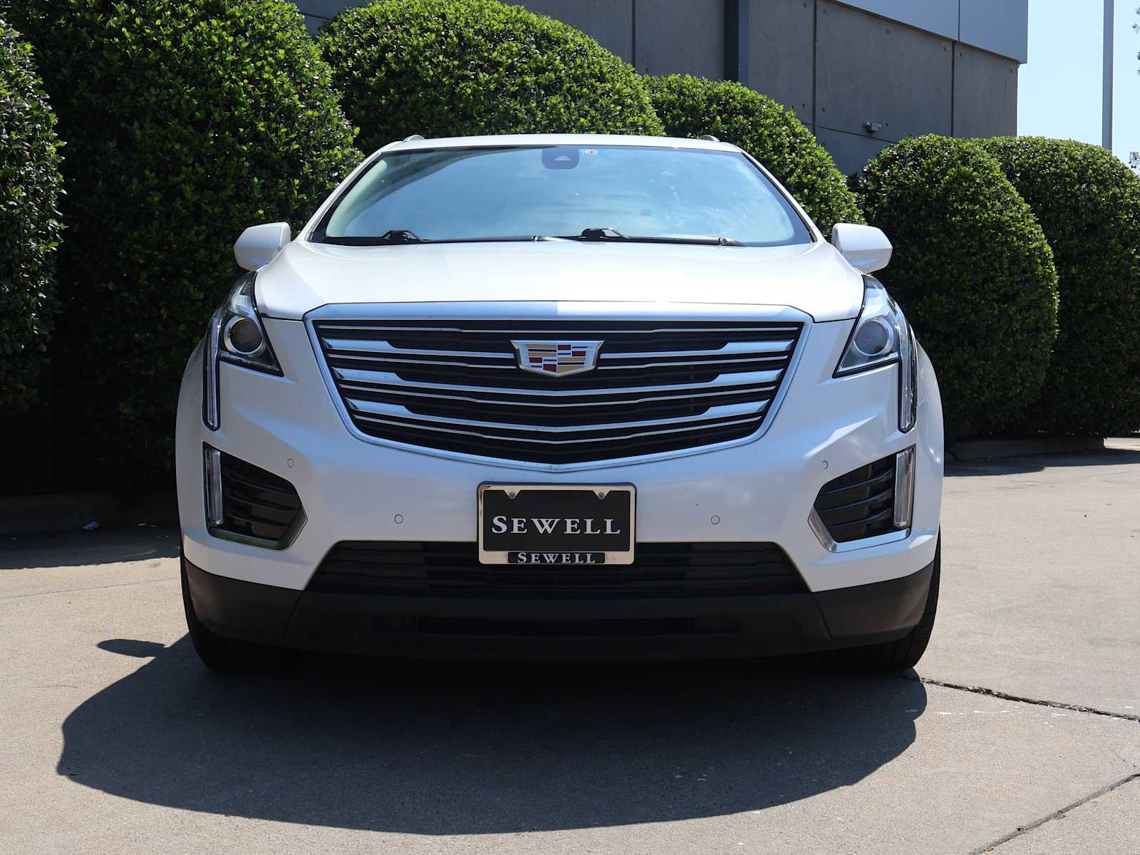 car-gallery-2