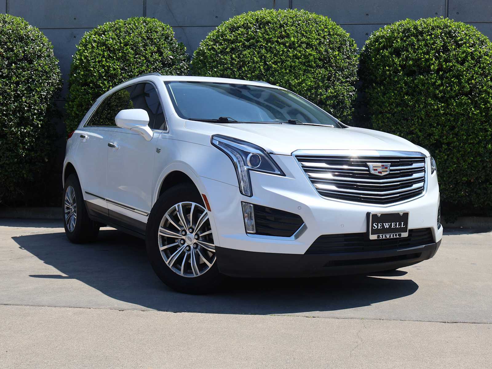 car-gallery-3