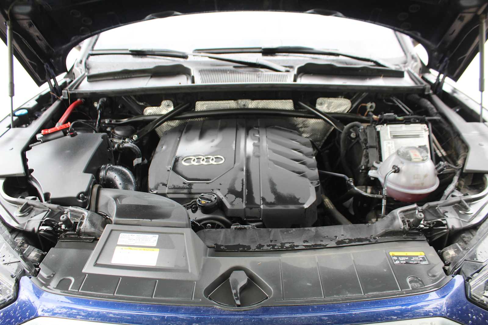 Certified Used 2023 Navarra Blue Metallic Audi Premium Plus image 30