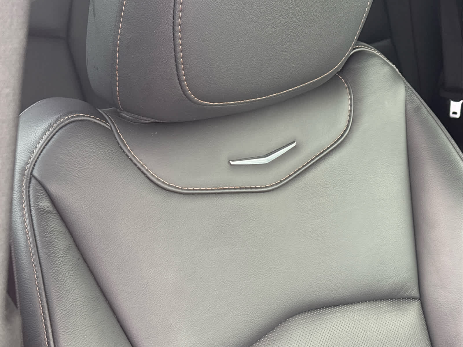 car-gallery-14