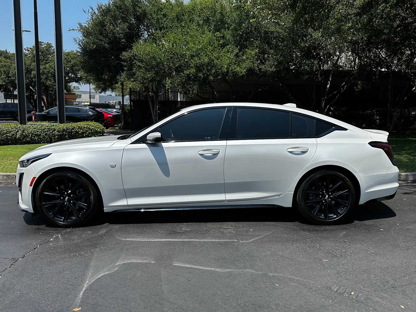 Certified Used 2023 Crystal White Tricoat Cadillac Sport image 5