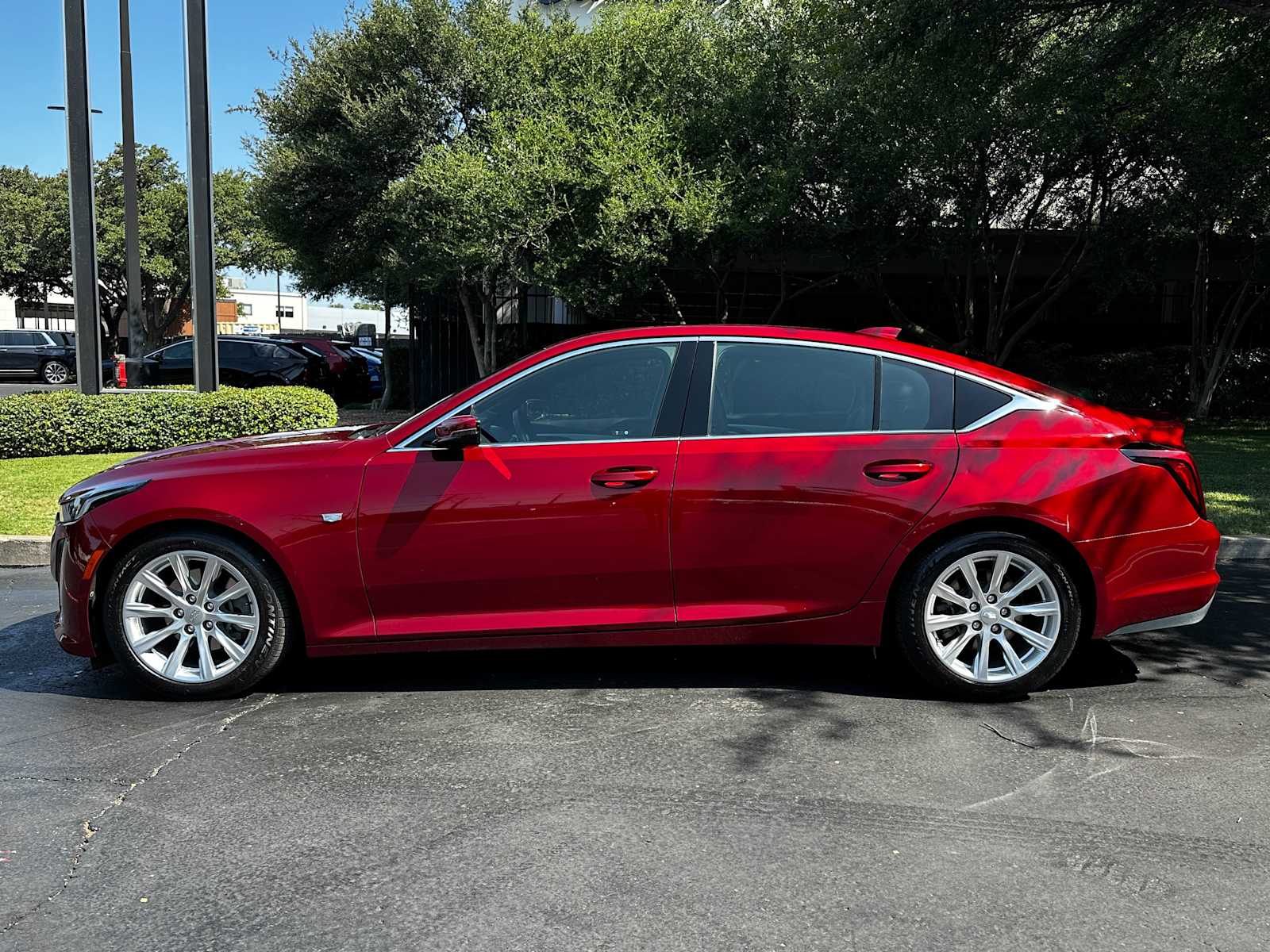 Used 2021 Infrared Tintcoat Cadillac Luxury image 5