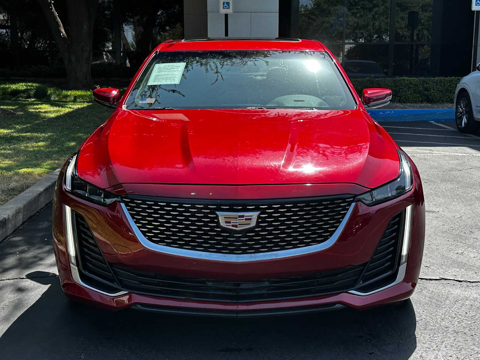 Used 2021 Infrared Tintcoat Cadillac Luxury image 2