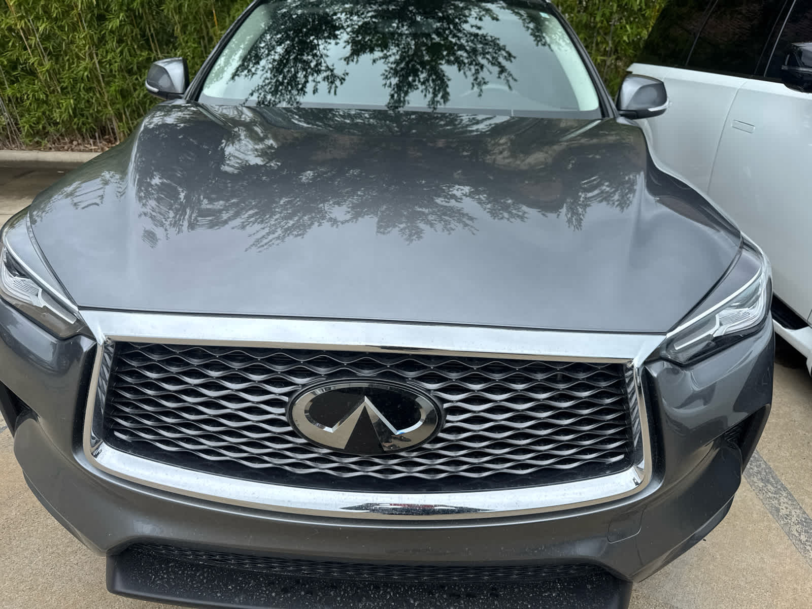 Certified Pre-Owned 2023 INFINITI QX50 LUXE Sport Utility in