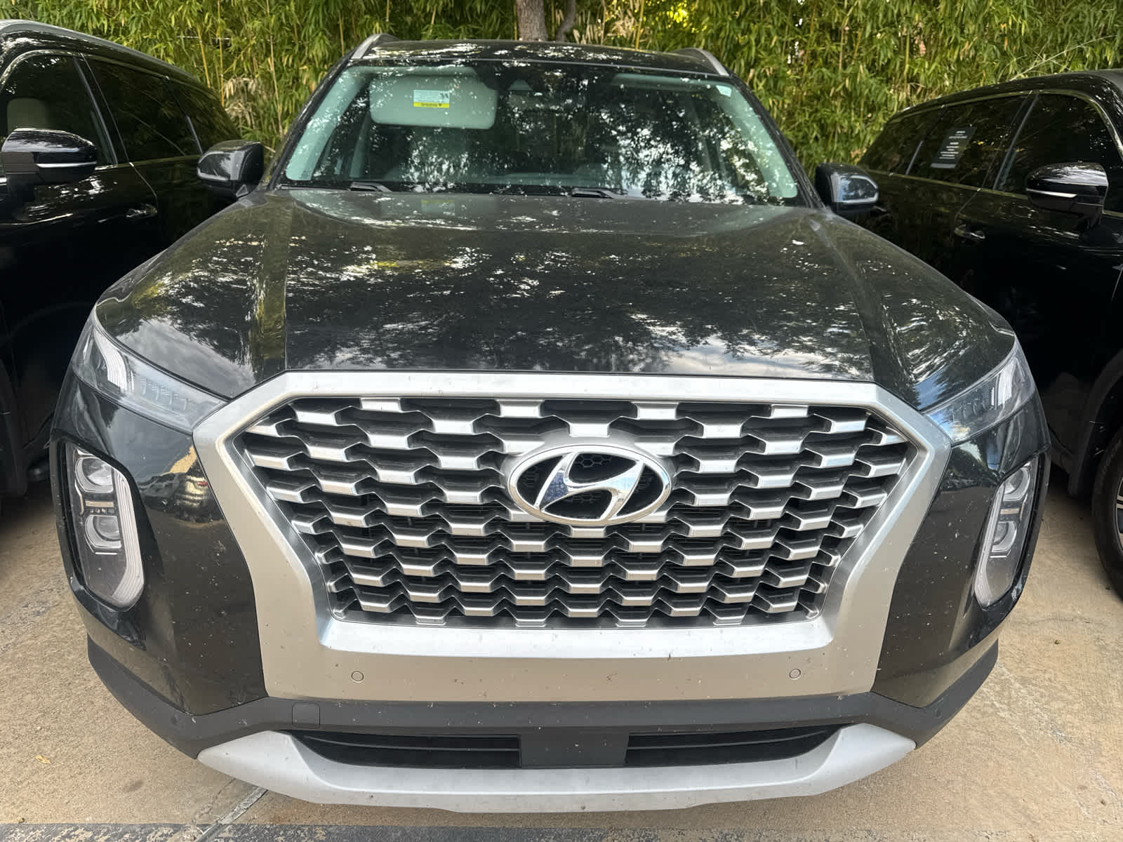 Used 2021 Becketts Black Hyundai SEL image 5
