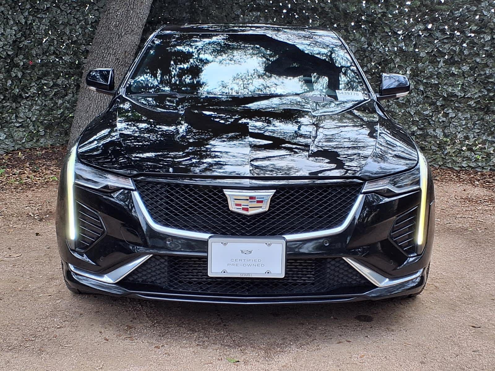 car-gallery-2