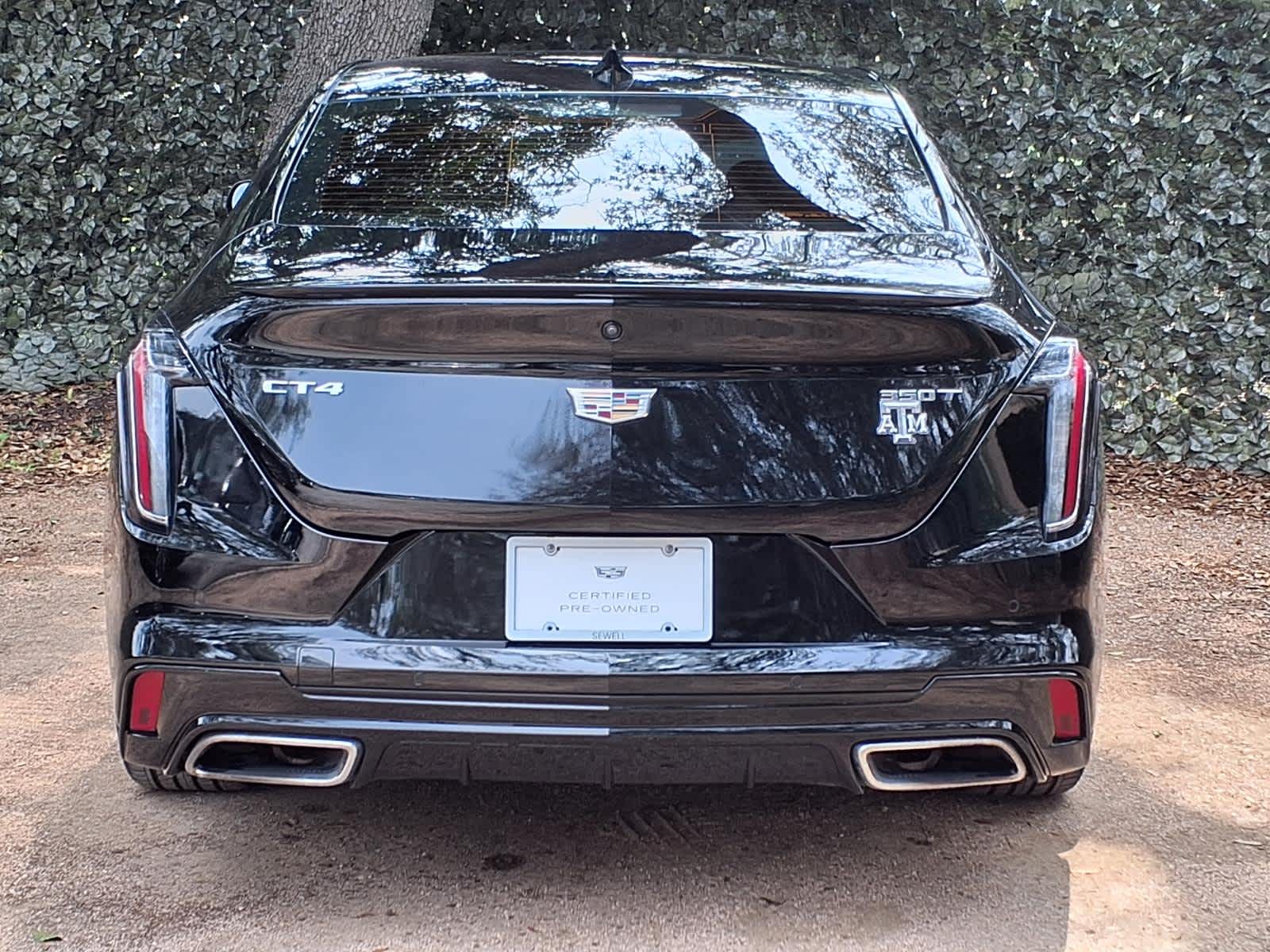car-gallery-5