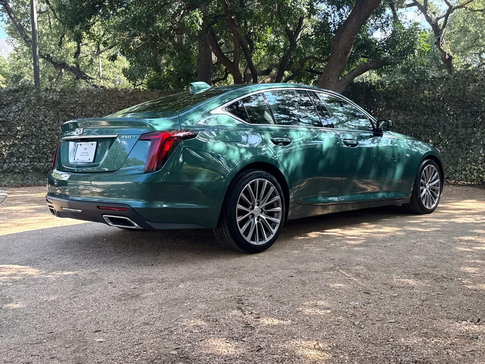 car-gallery-6