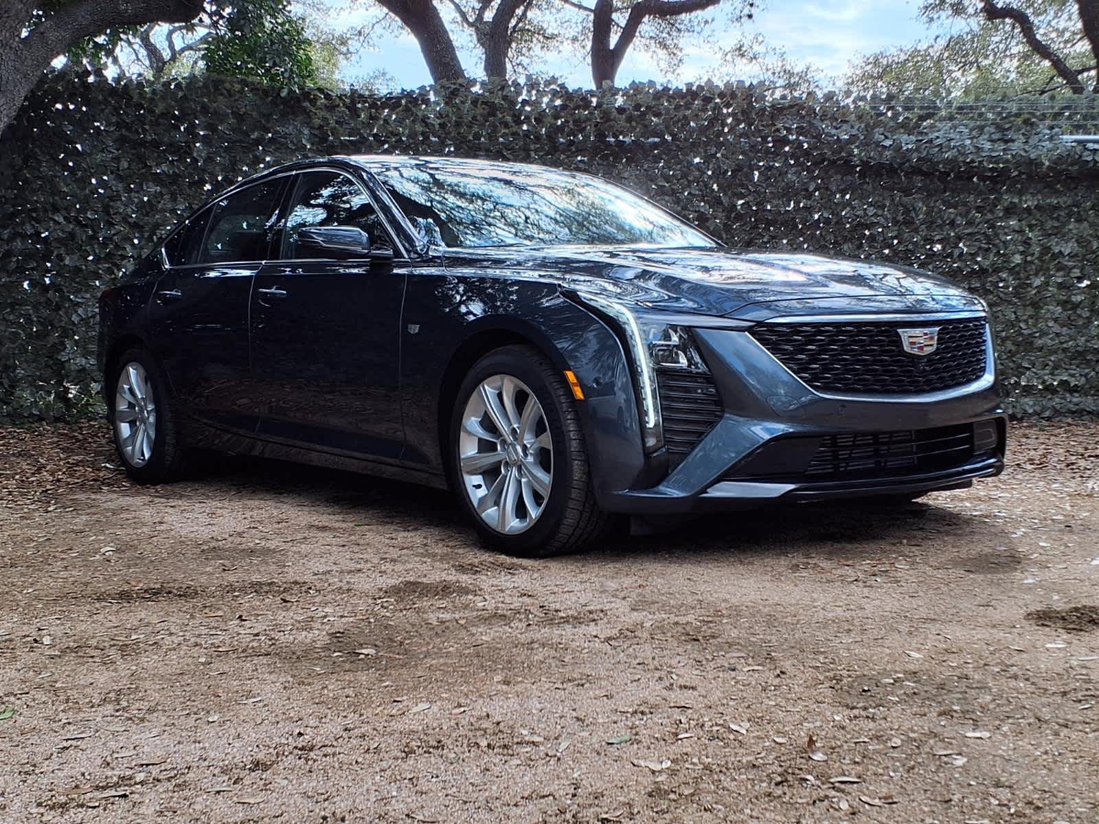 View vehicle photo 3