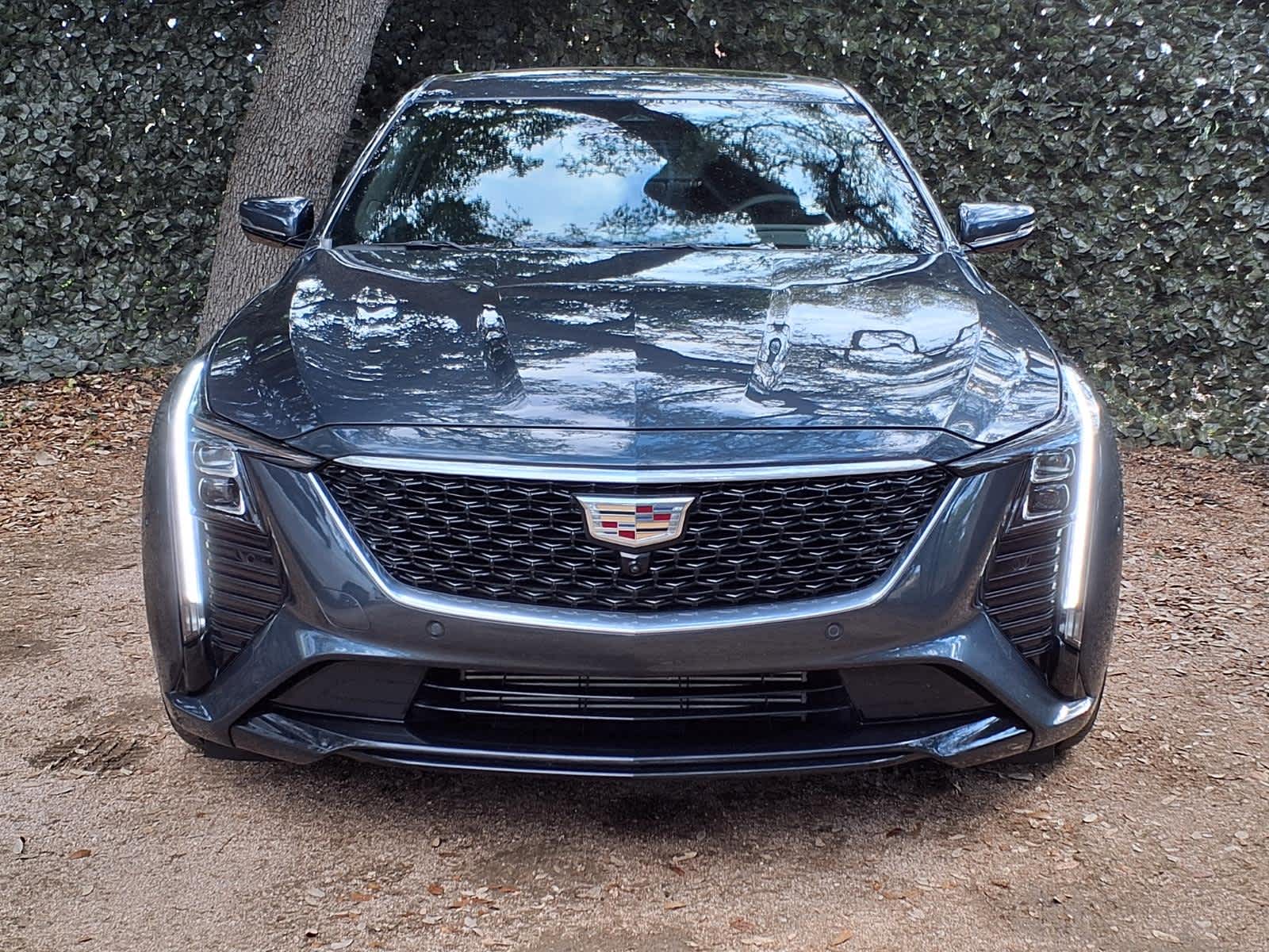 View vehicle photo 2