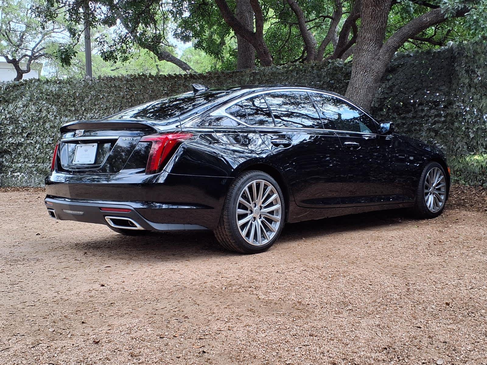 car-gallery-6