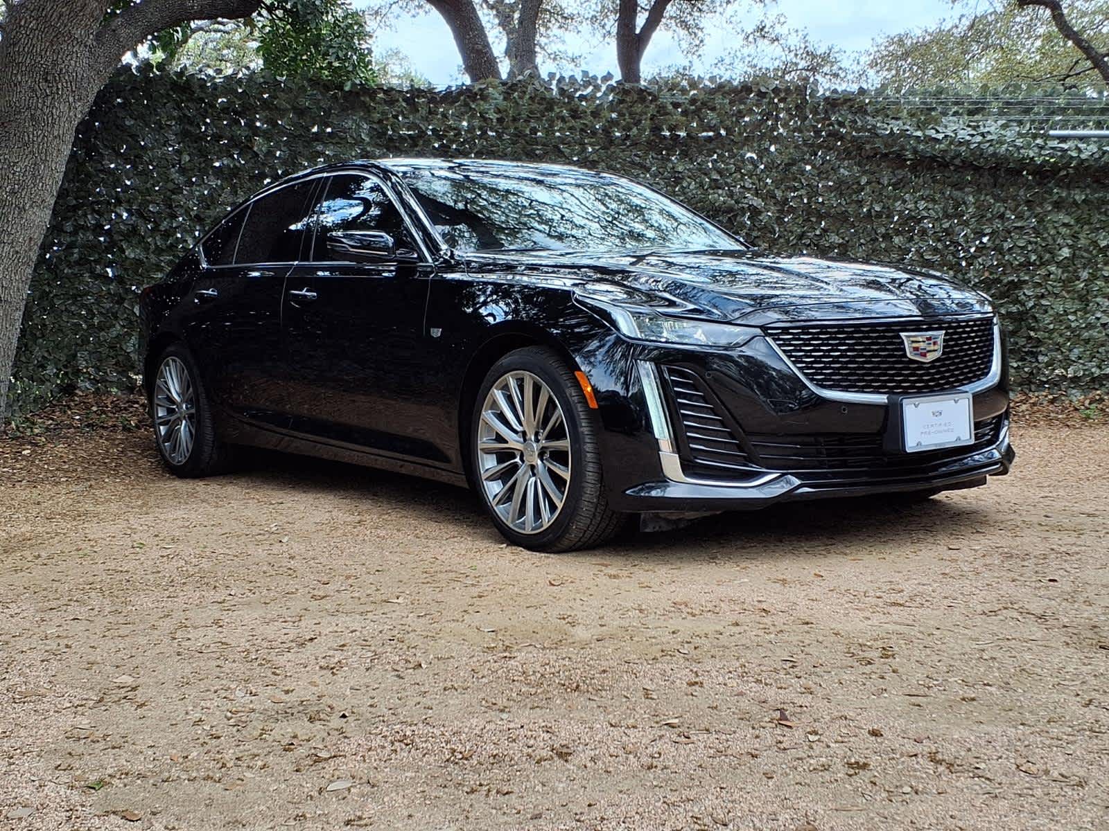 car-gallery-3