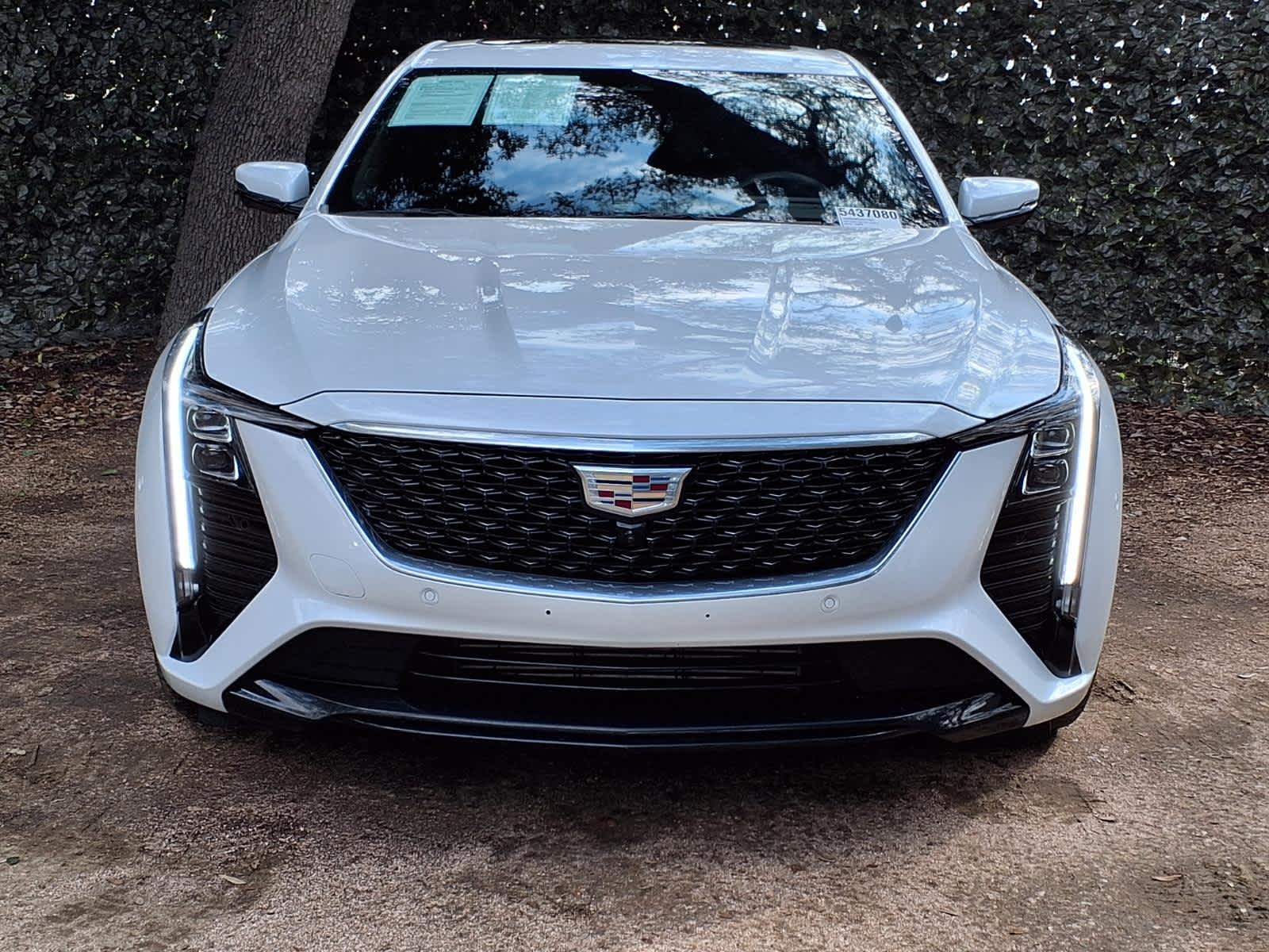 car-gallery-2