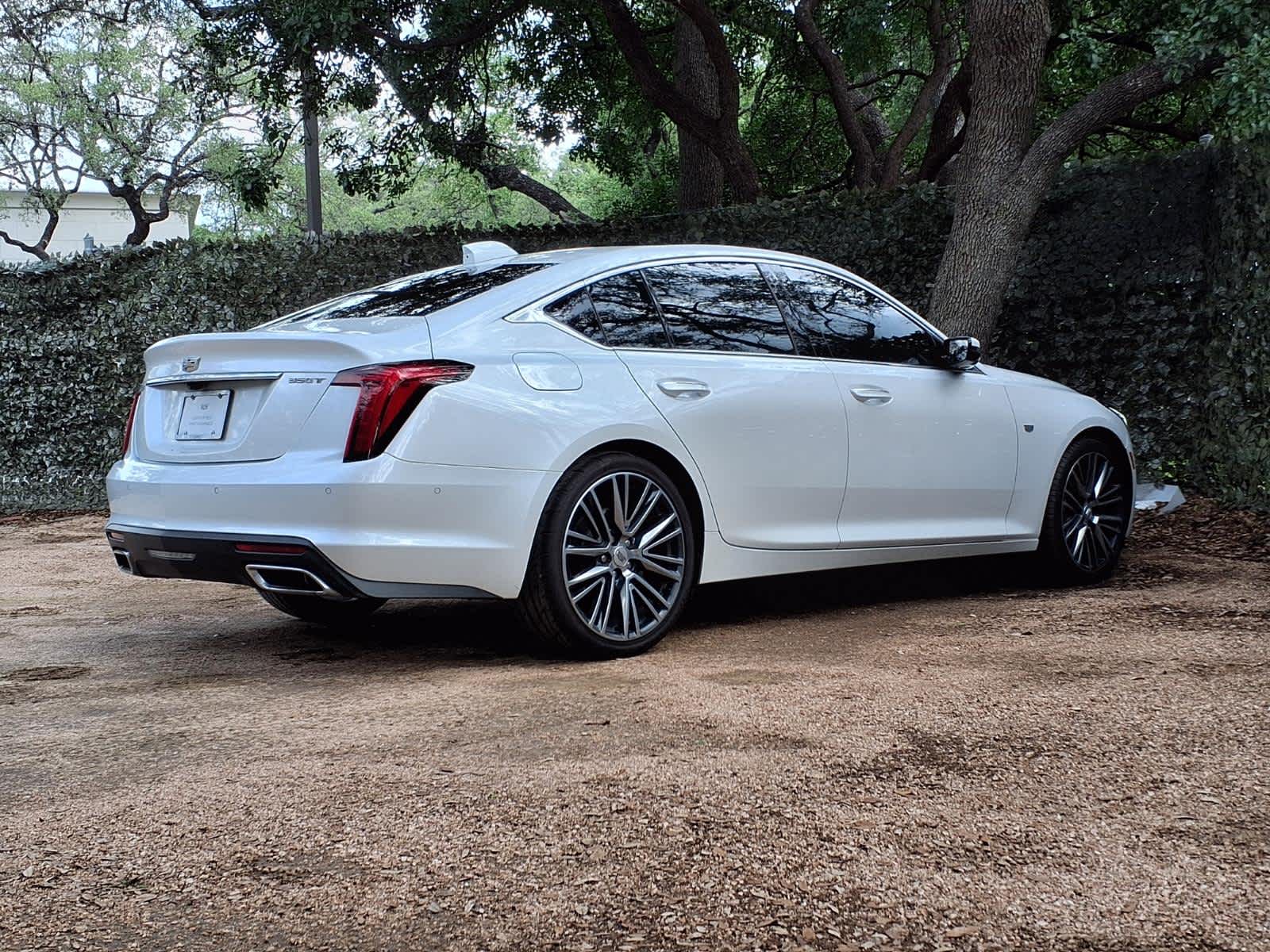 car-gallery-6