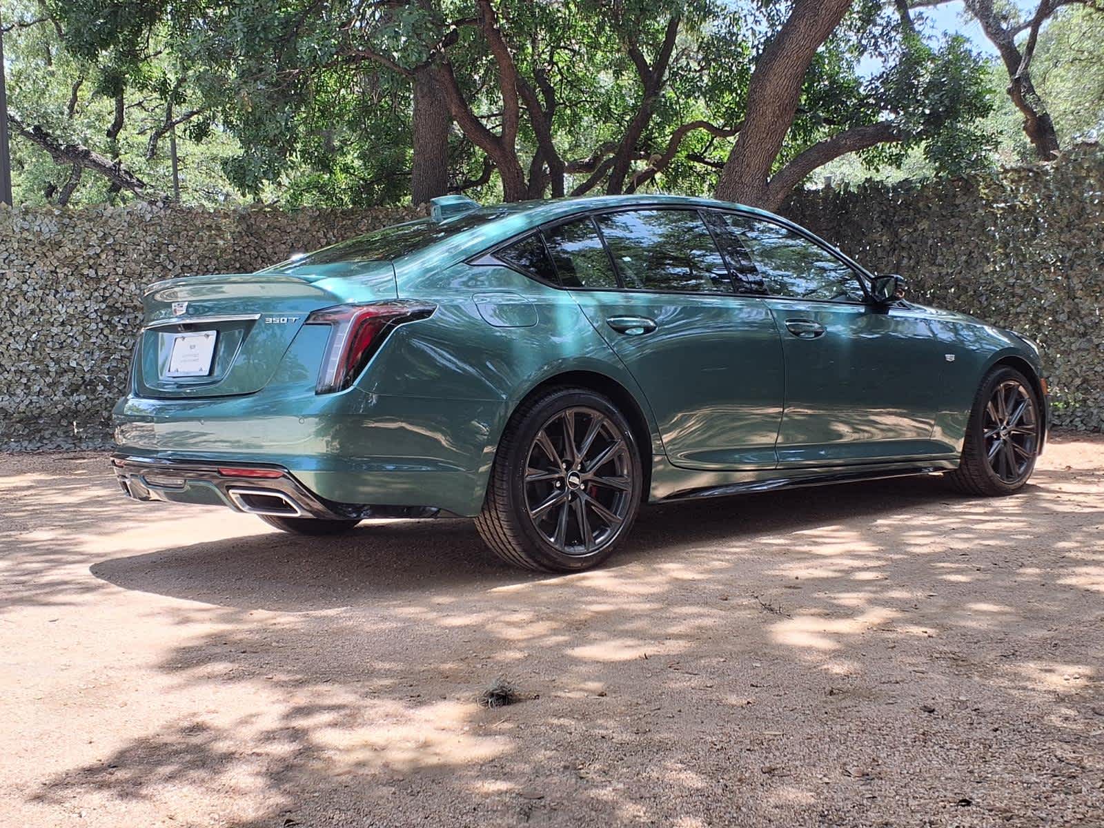 car-gallery-4