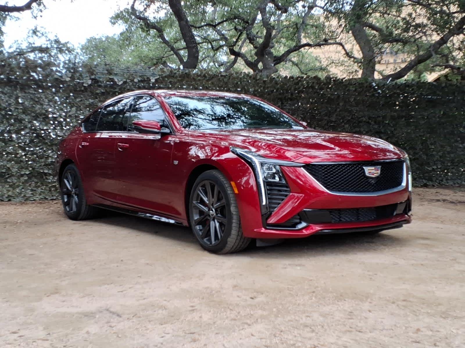car-gallery-3