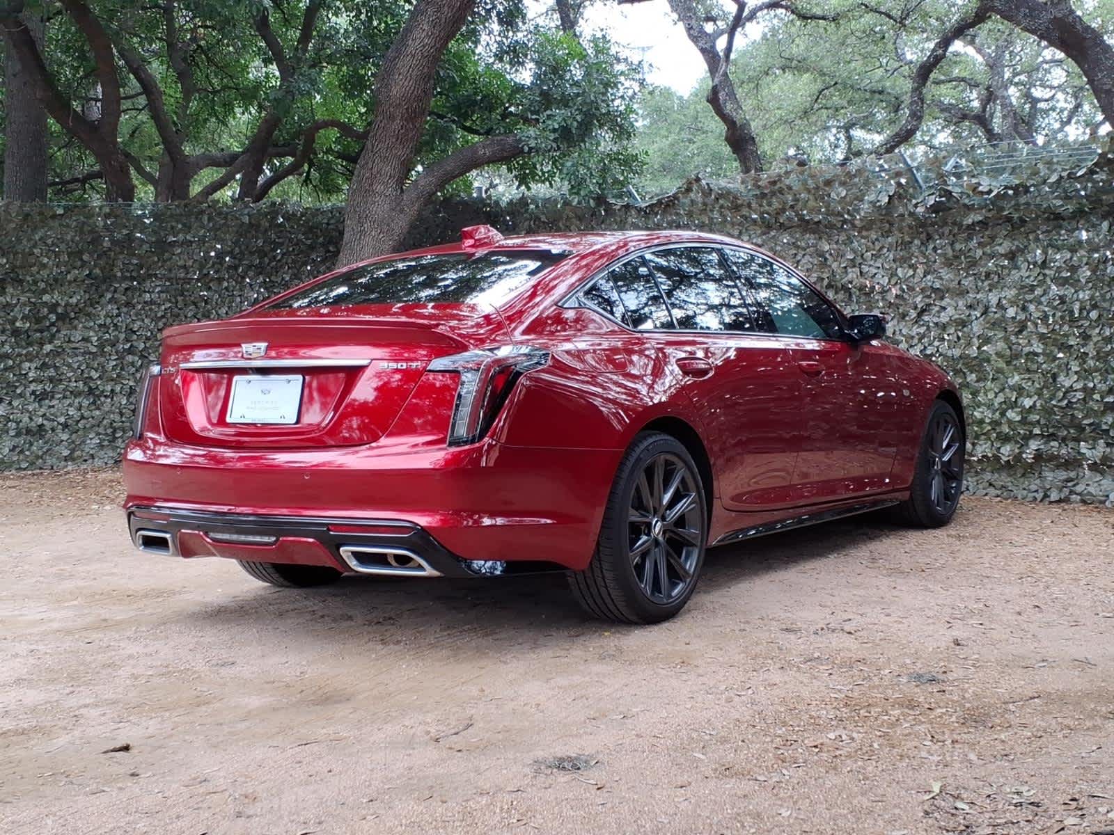 car-gallery-6