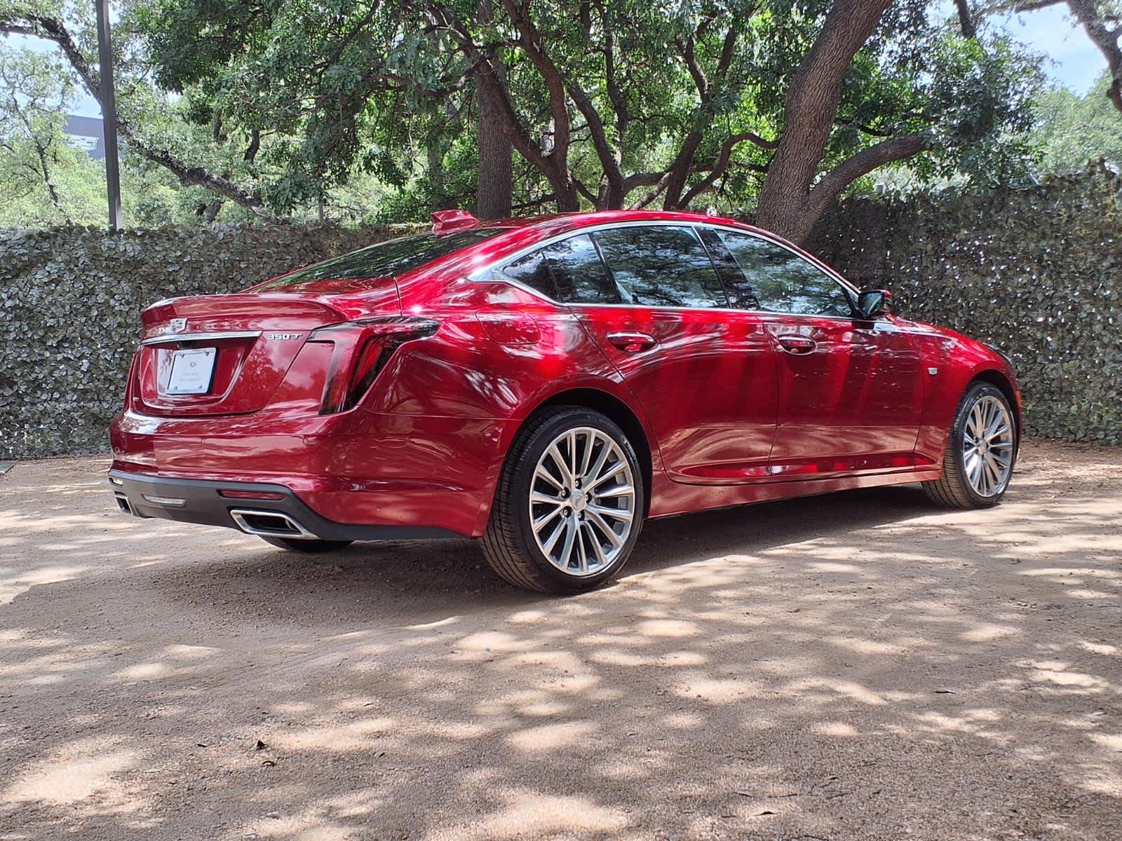 car-gallery-6