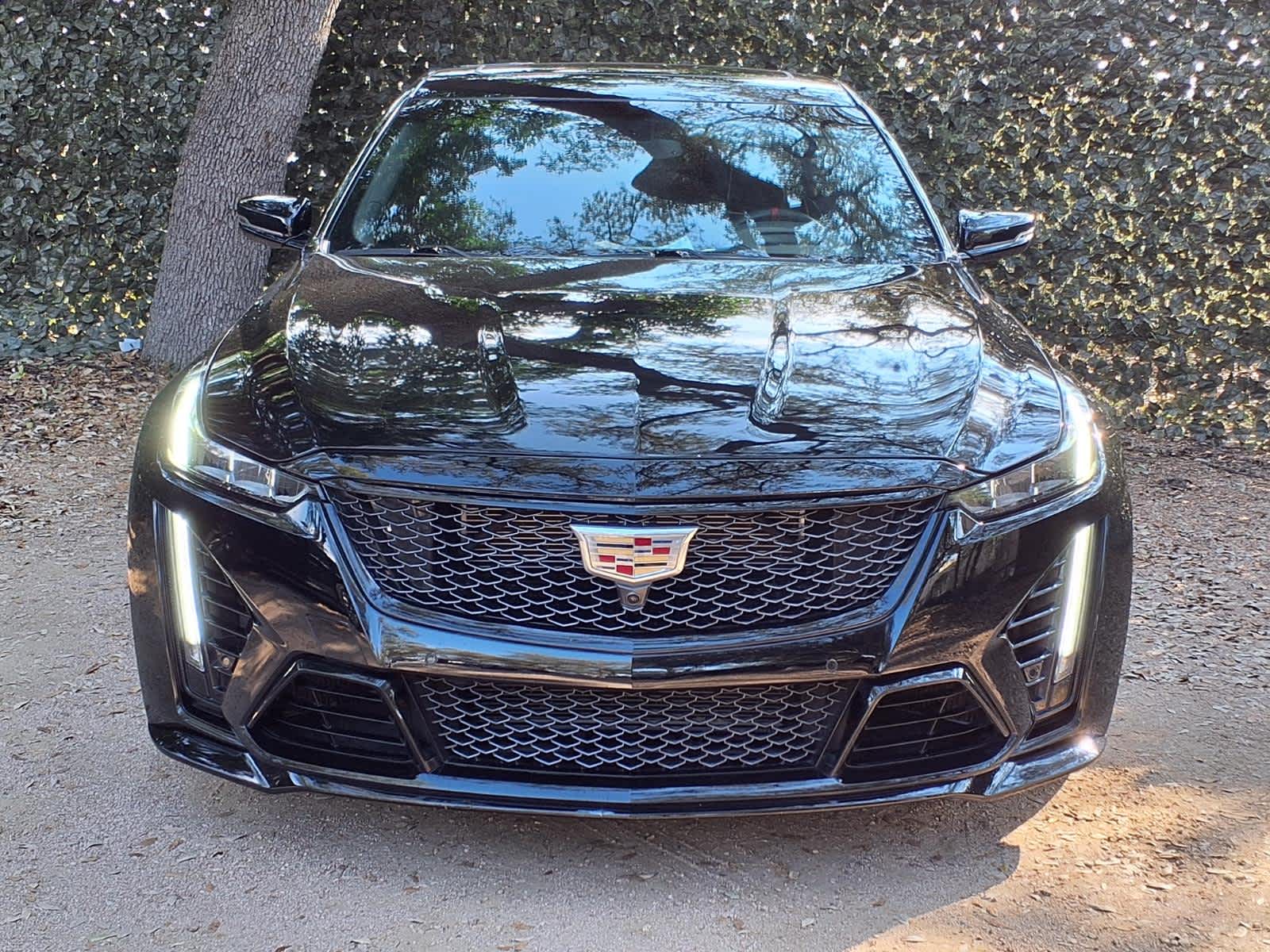 car-gallery-2