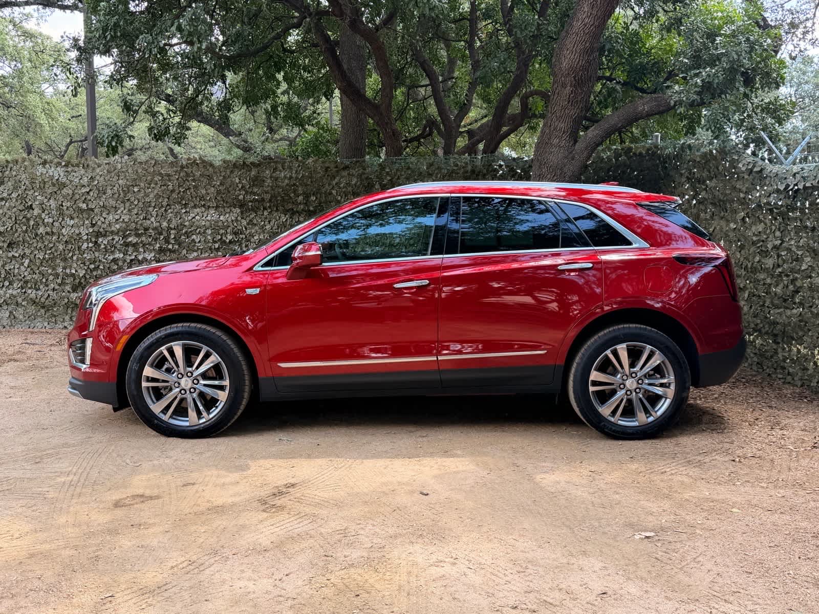 car-gallery-2
