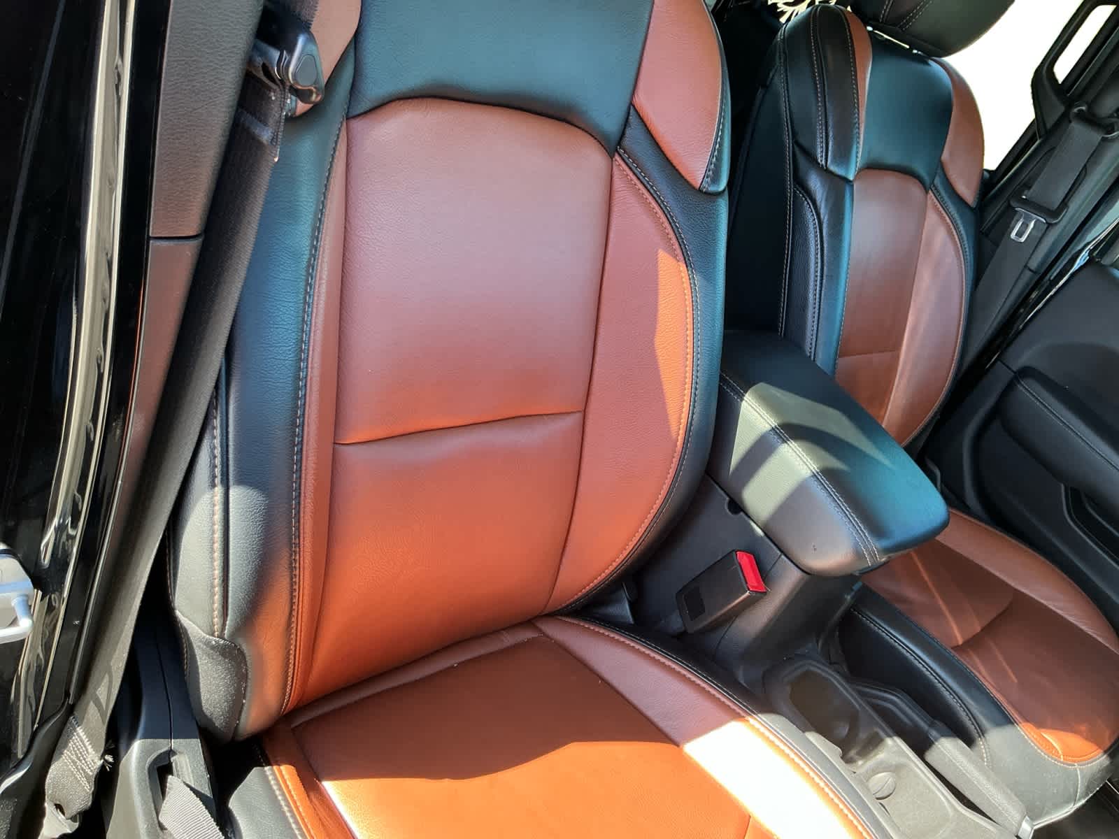 Used 2019 Jeep Wrangler Unlimited SUV