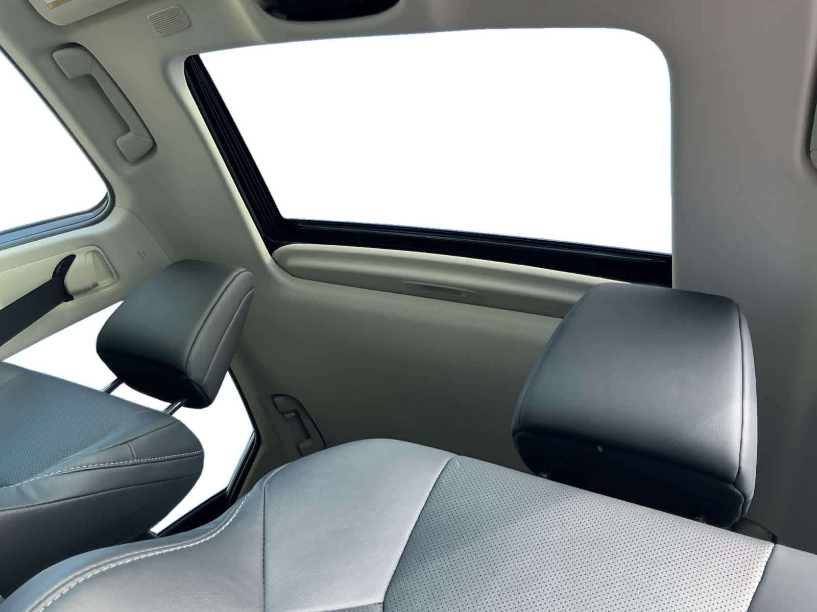 Used 2025 Lexus NX 350 SUV