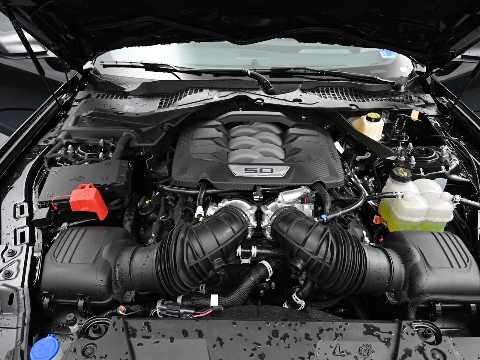 2026 Ford Mustang GT Premium Fastback