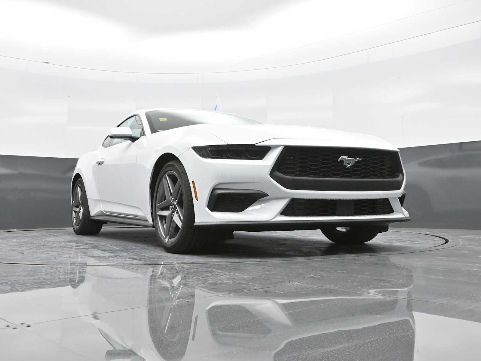 2026 Ford Mustang EcoBoost Fastback