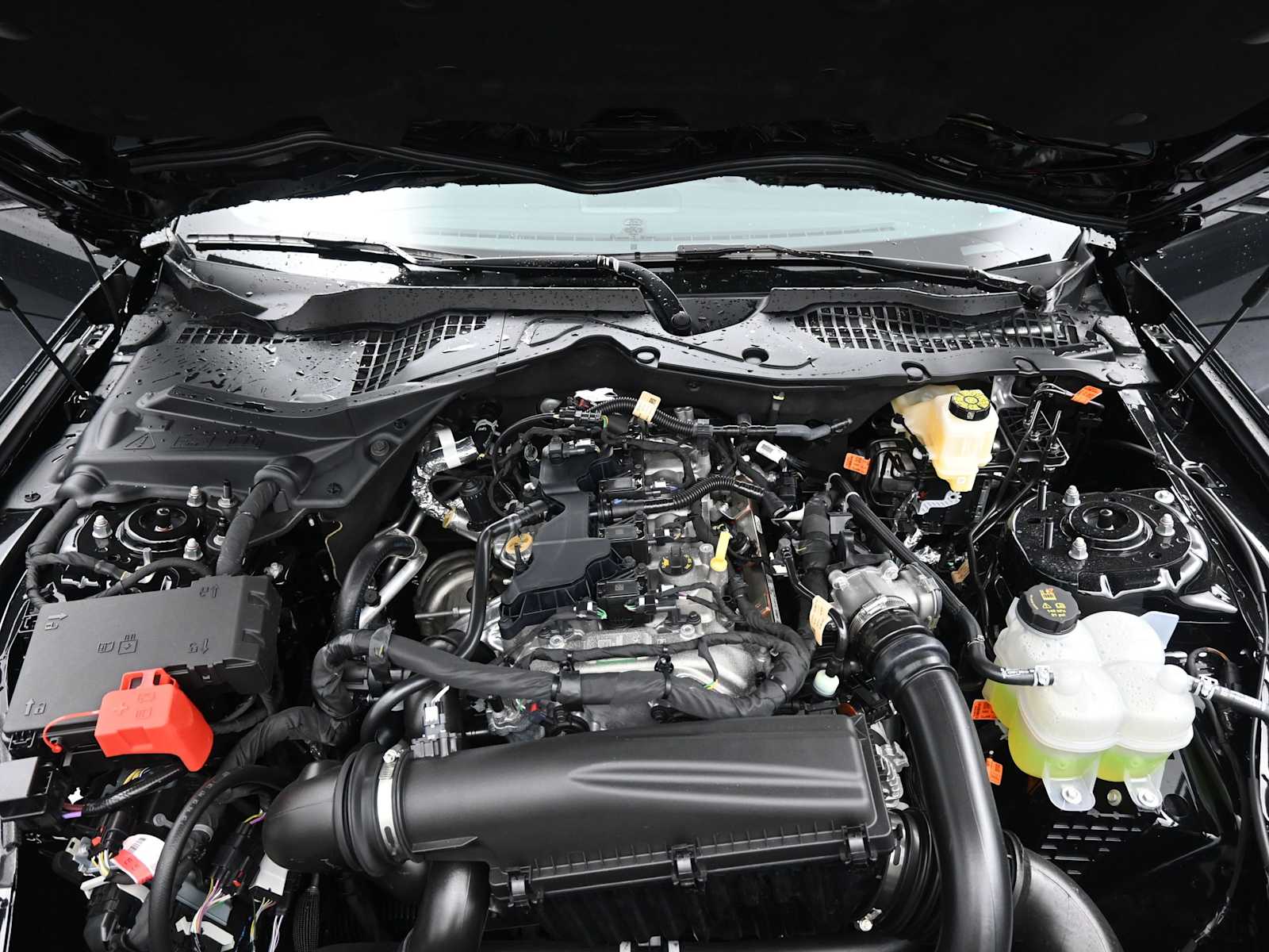 2026 Ford Mustang EcoBoost Fastback