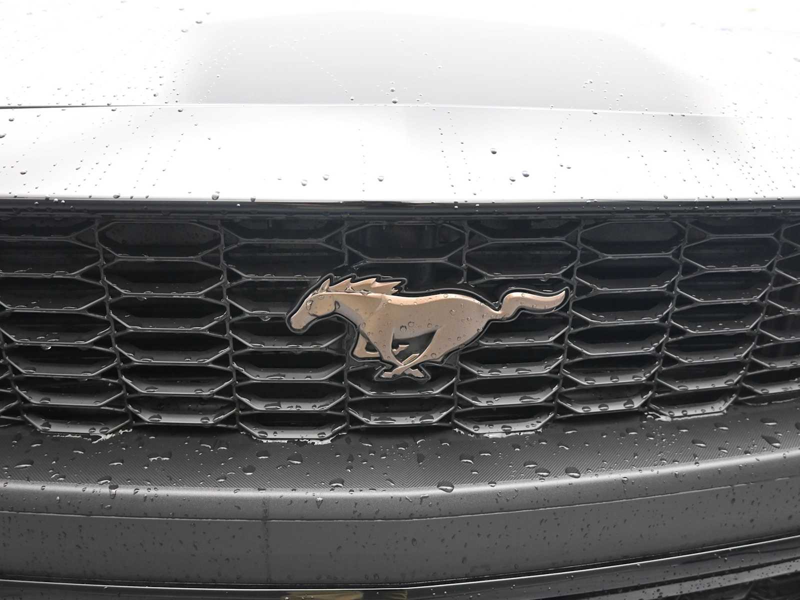 2026 Ford Mustang EcoBoost Fastback