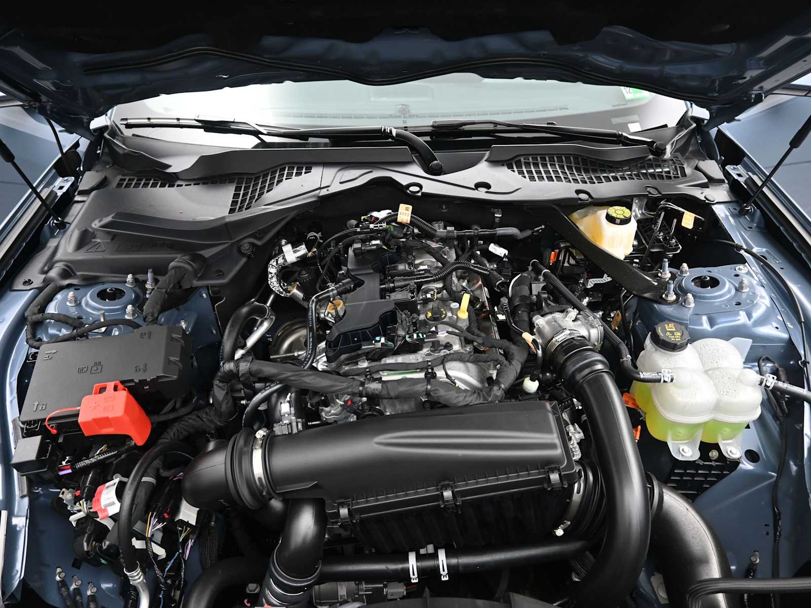 2026 Ford Mustang EcoBoost Premium Fastback