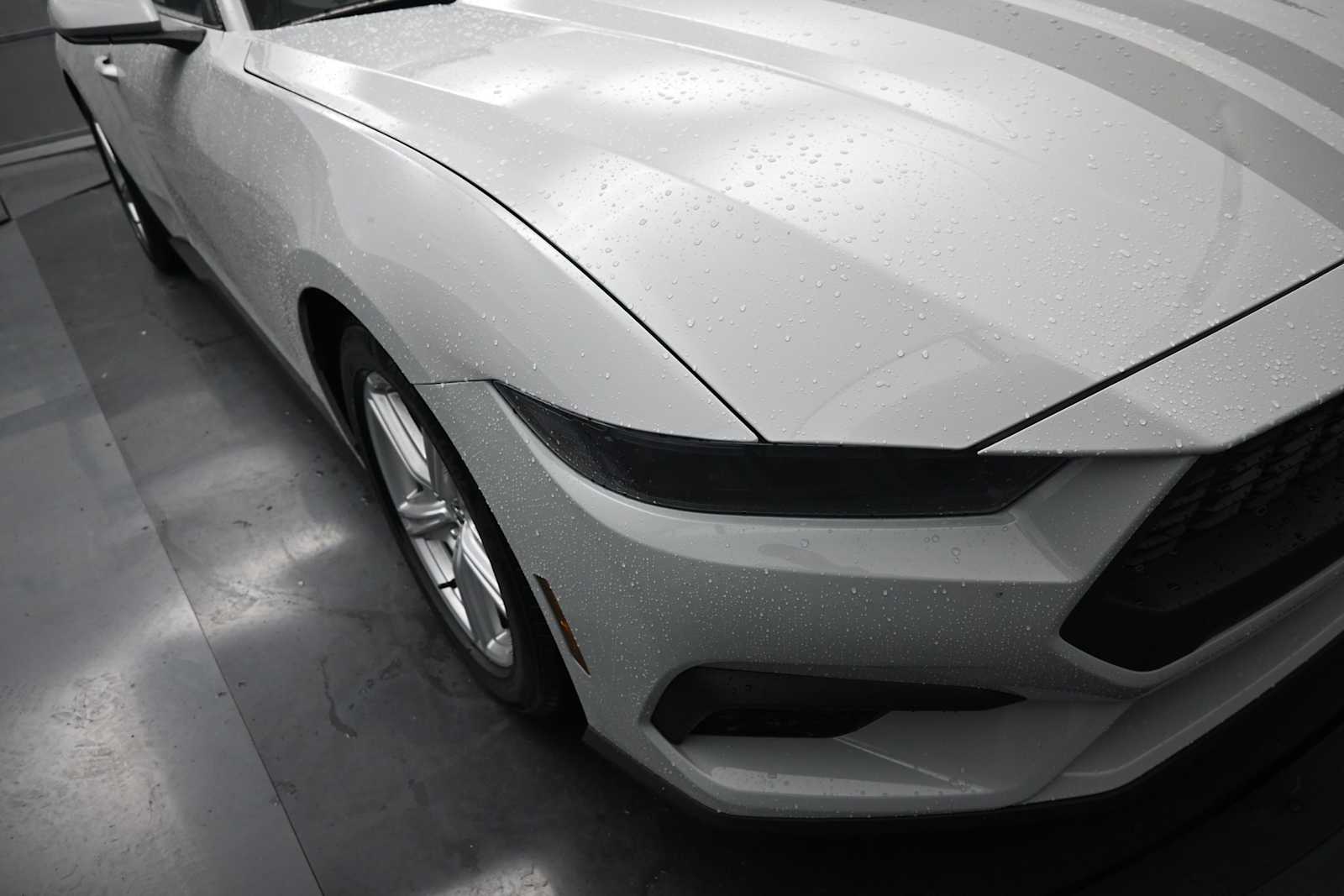 2026 Ford Mustang EcoBoost Premium Fastback