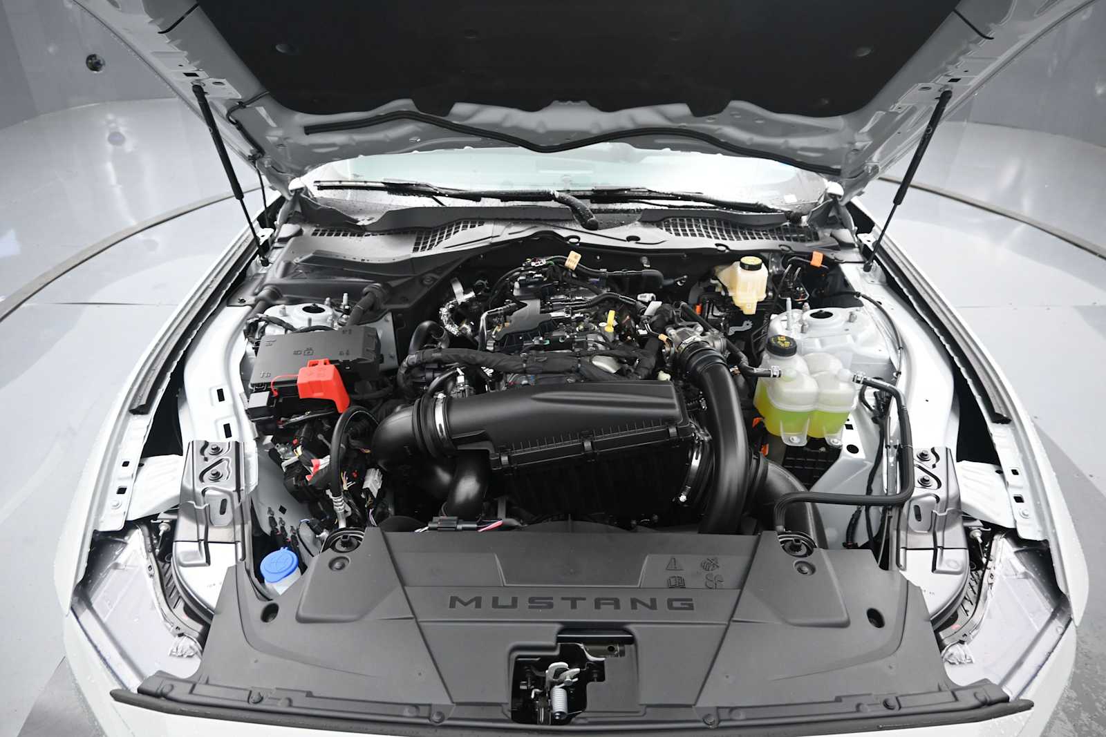 2026 Ford Mustang EcoBoost Premium Fastback
