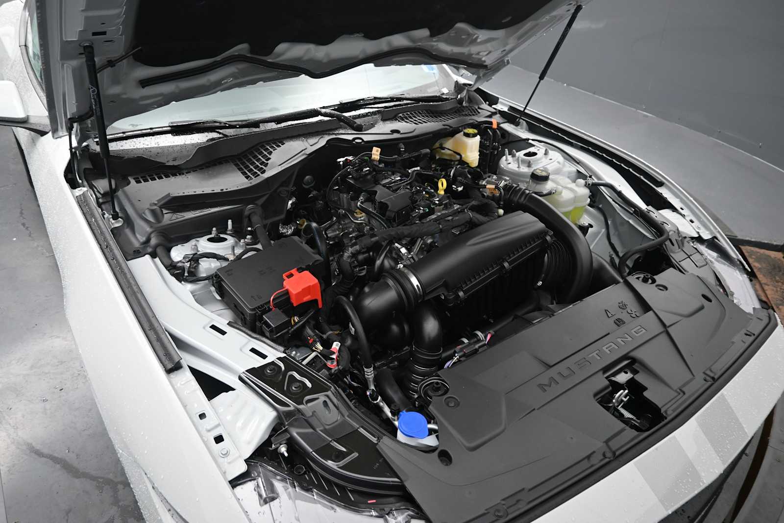 2026 Ford Mustang EcoBoost Premium Fastback
