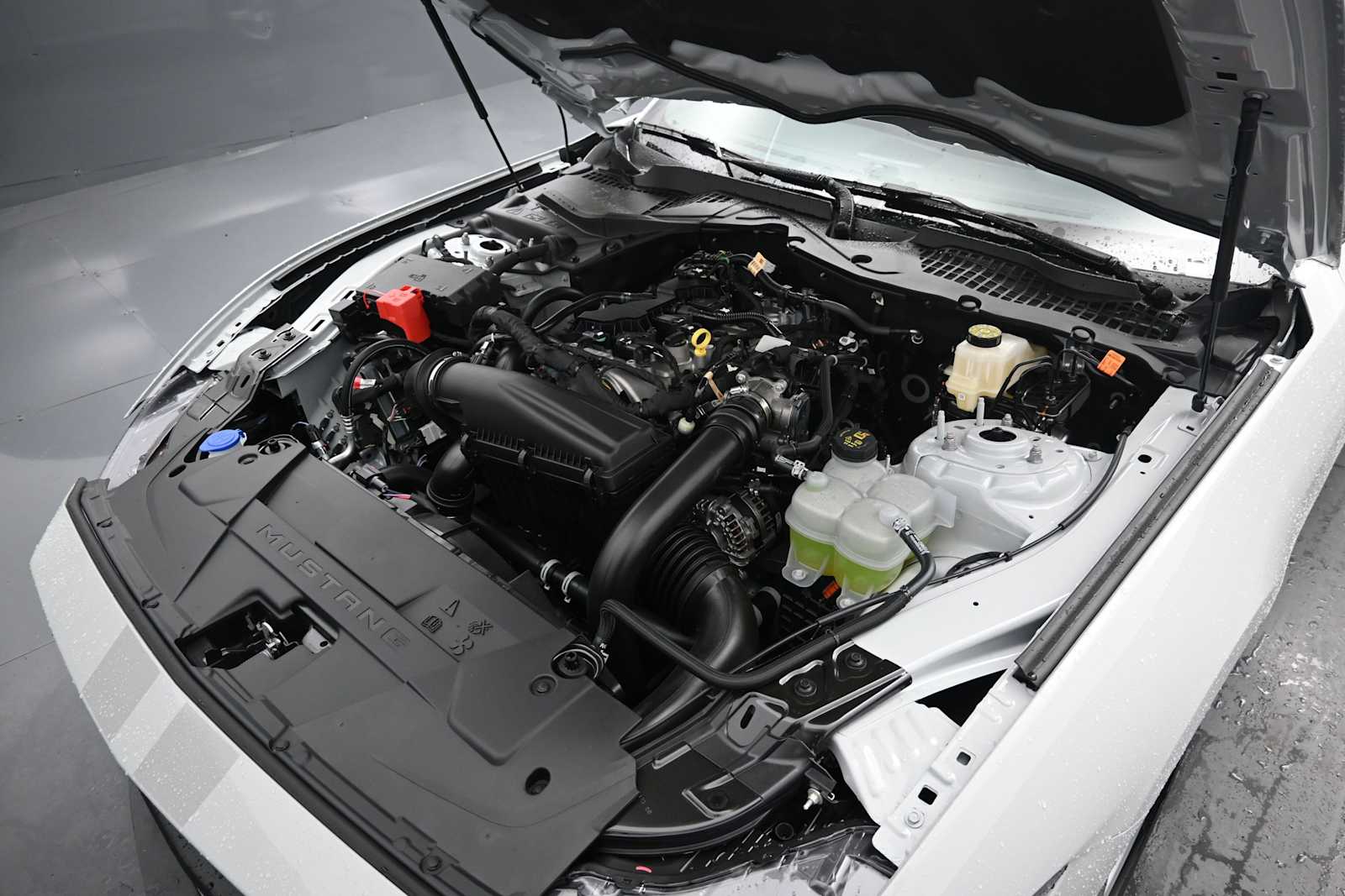 2026 Ford Mustang EcoBoost Premium Fastback