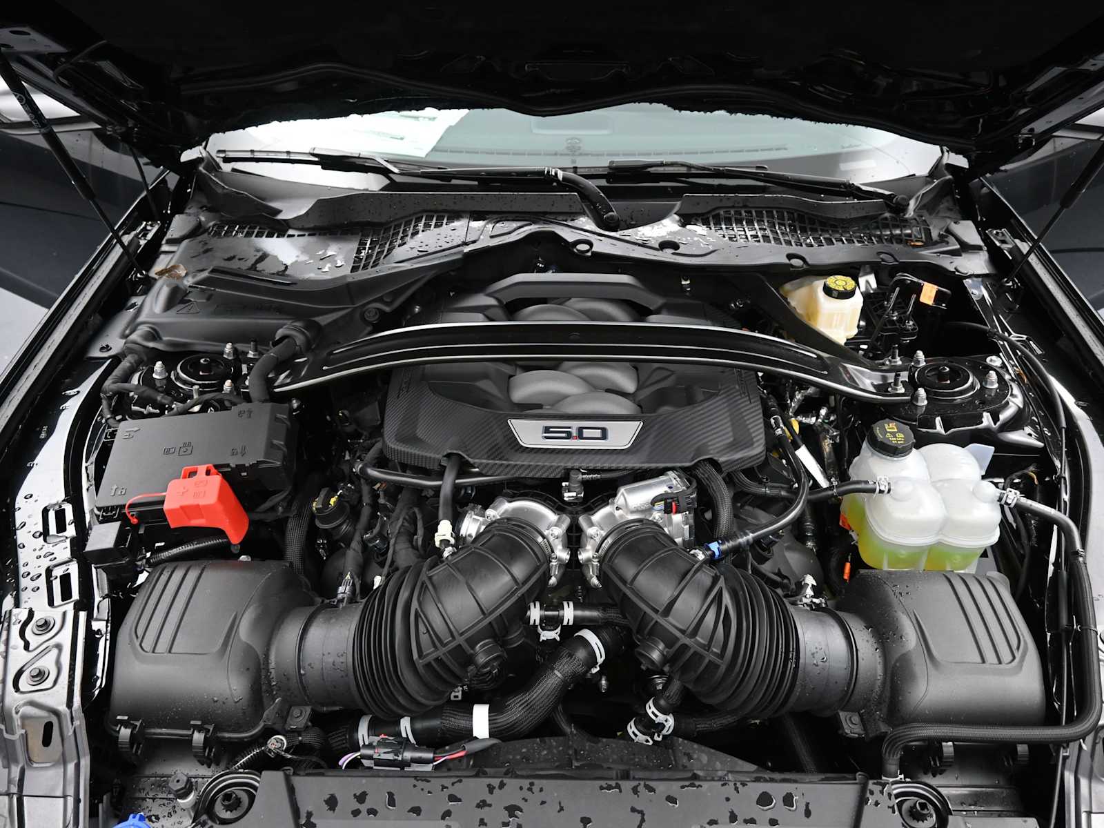 2025 Ford Mustang GT Premium Convertible