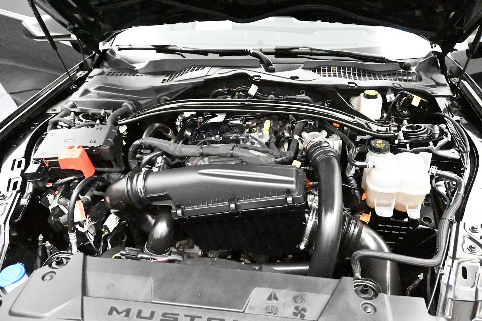 2025 Ford Mustang EcoBoost Premium Convertible