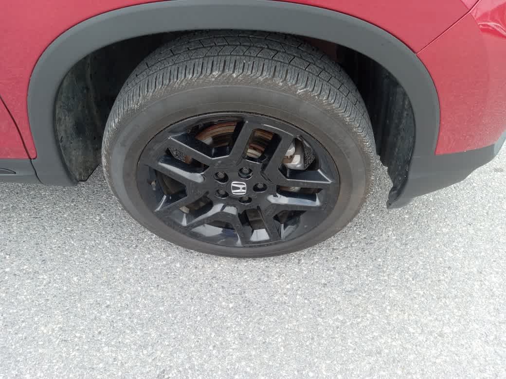 2024 Honda Passport Black Edition