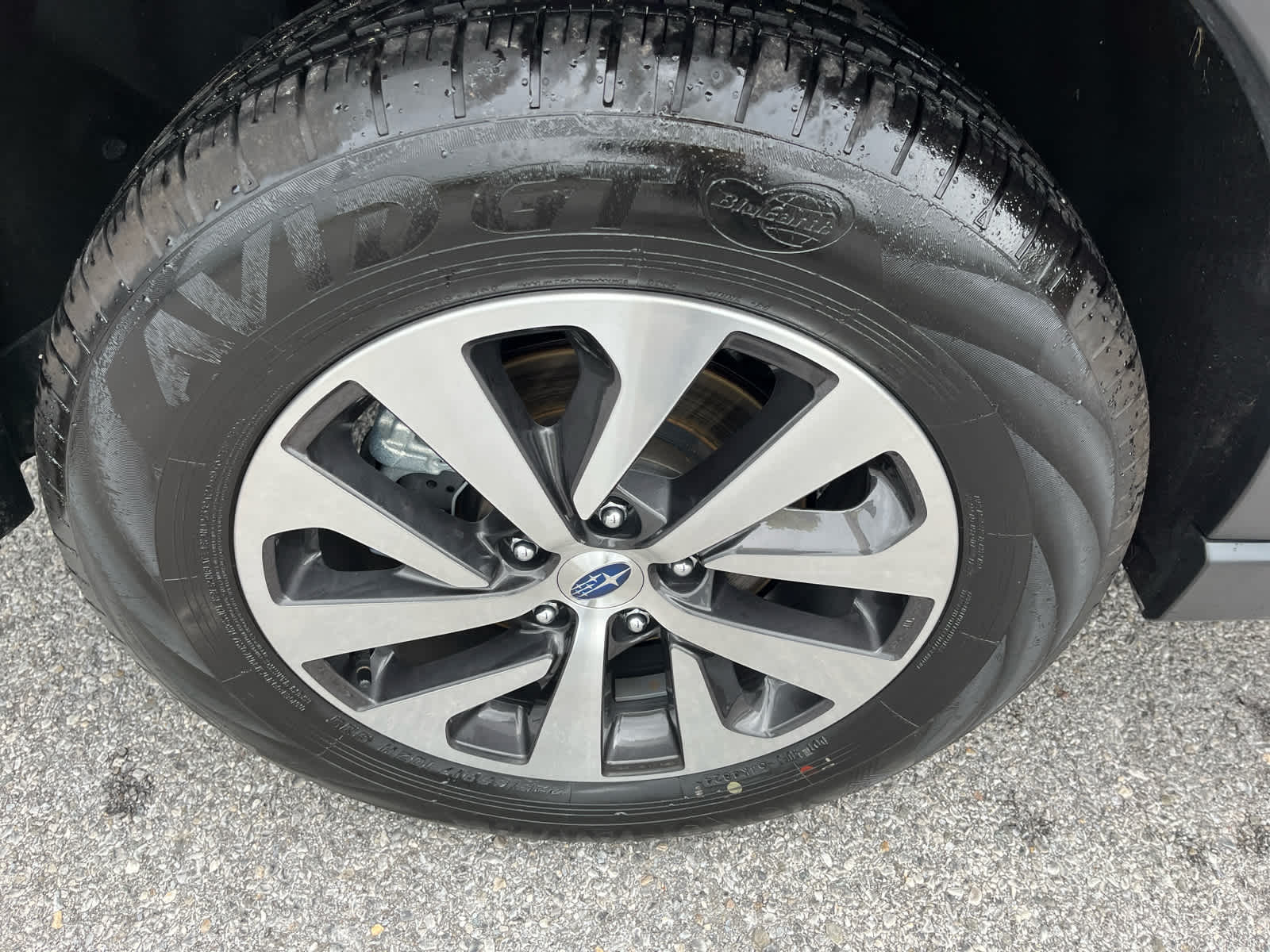 2025 Subaru Outback Premium