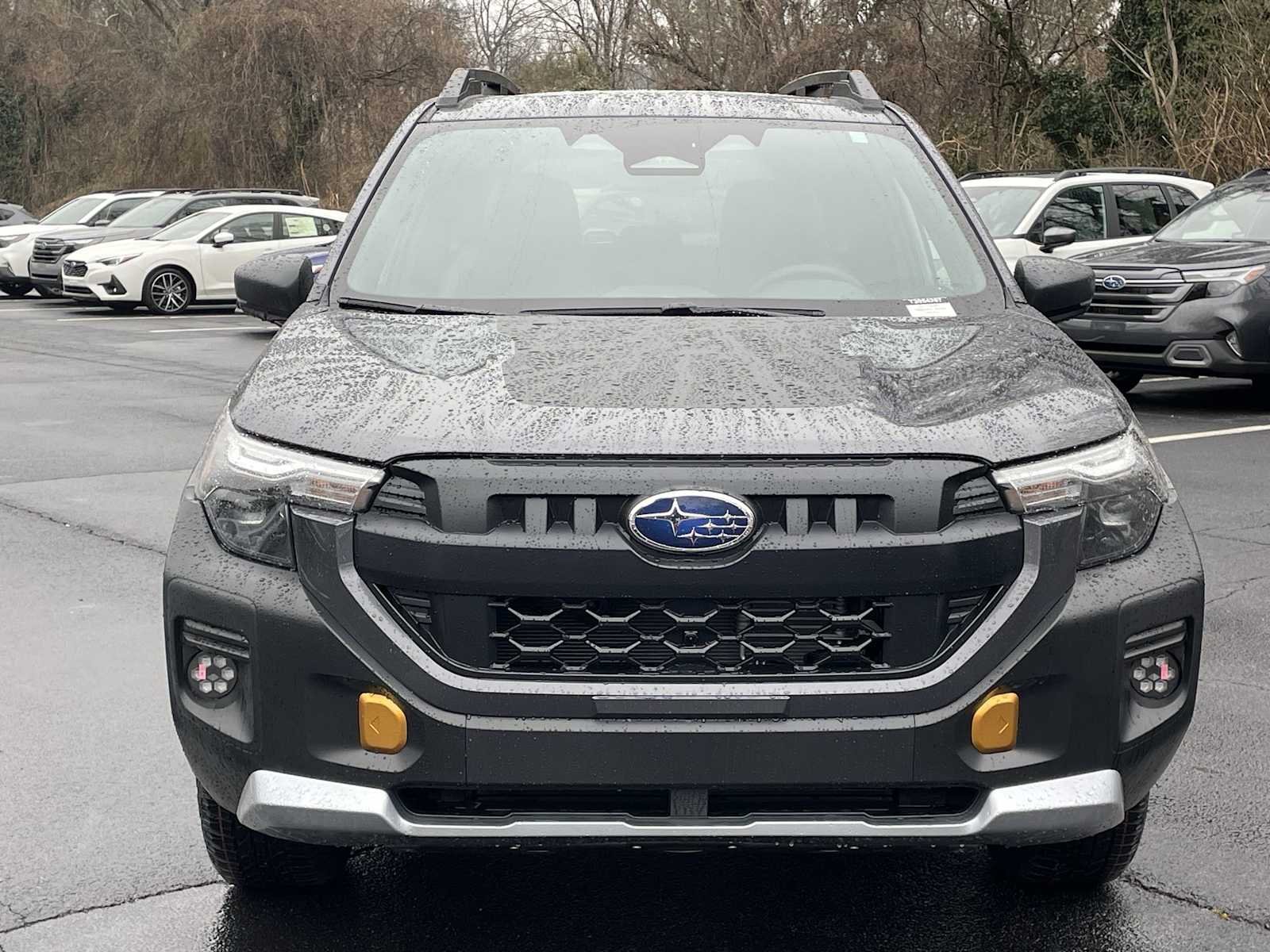 2026 Subaru Forester Wilderness - Photo 6