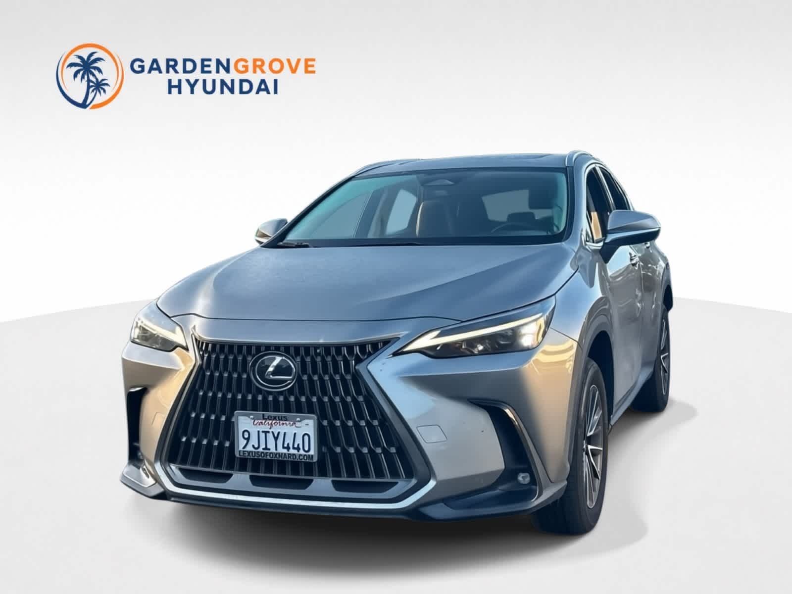 2024 Lexus NX 250