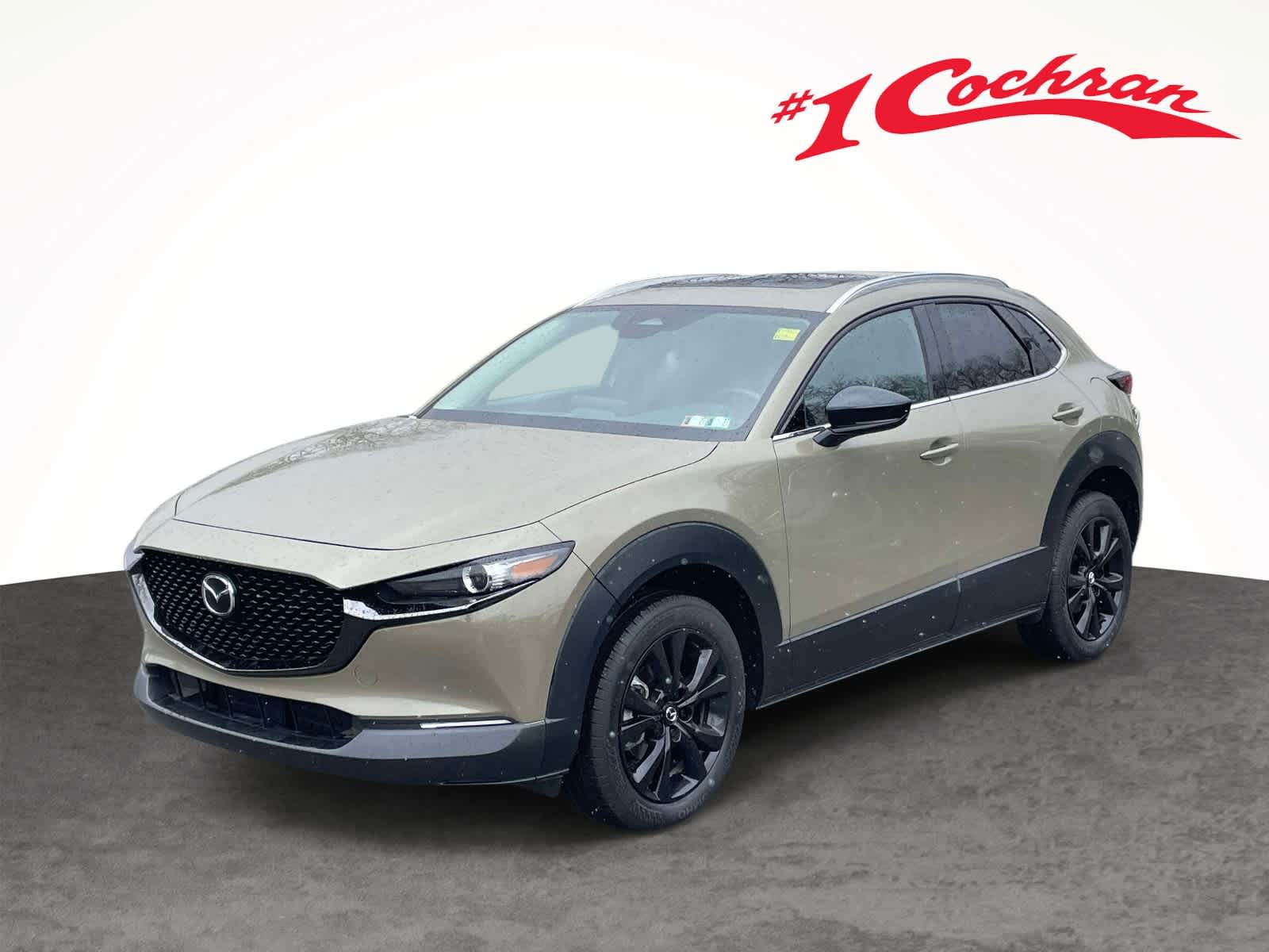 2024 Mazda CX-30 2.5 Carbon Turbo - 10