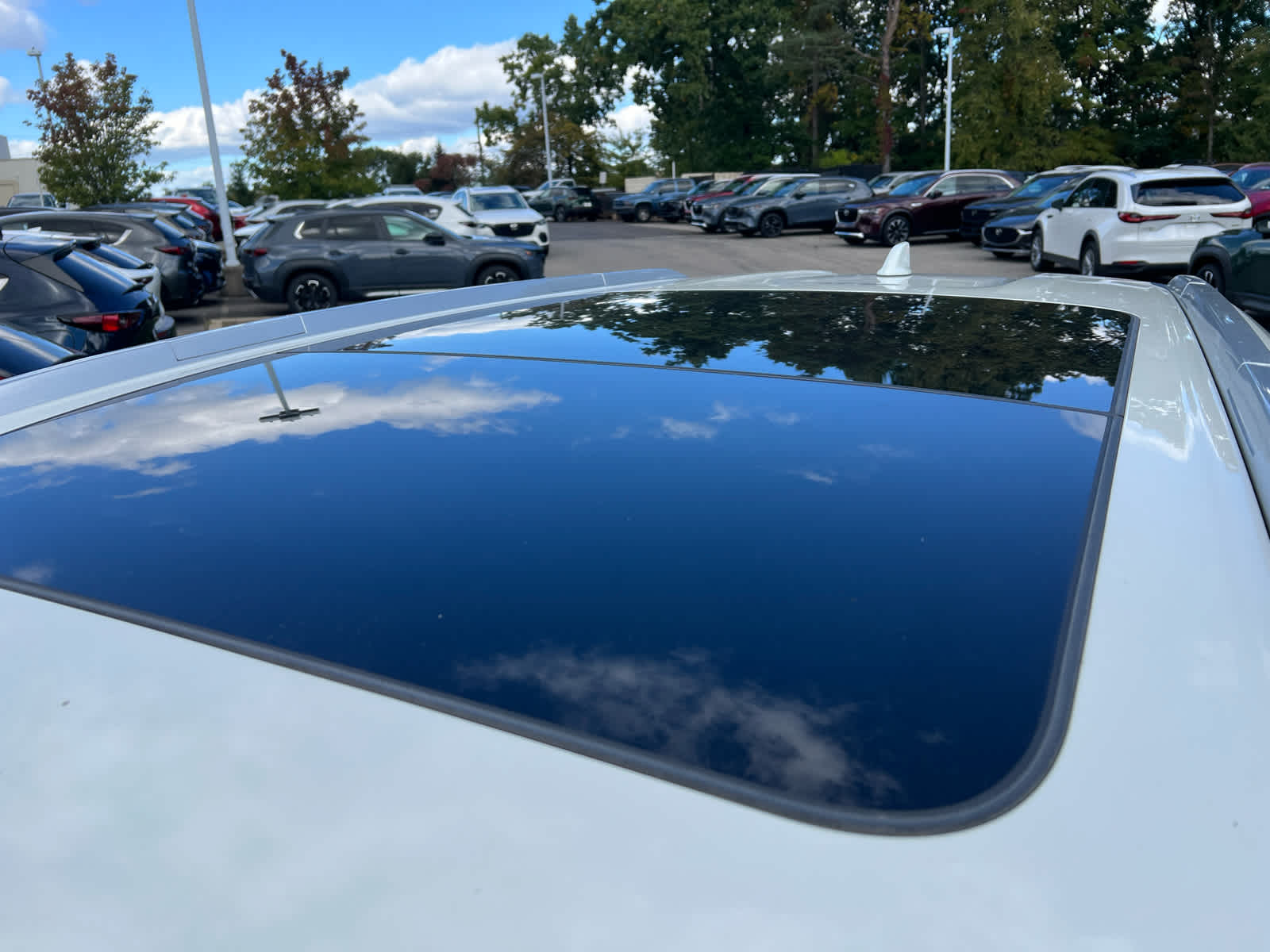 2021 Nissan Rogue photo 6 of 8