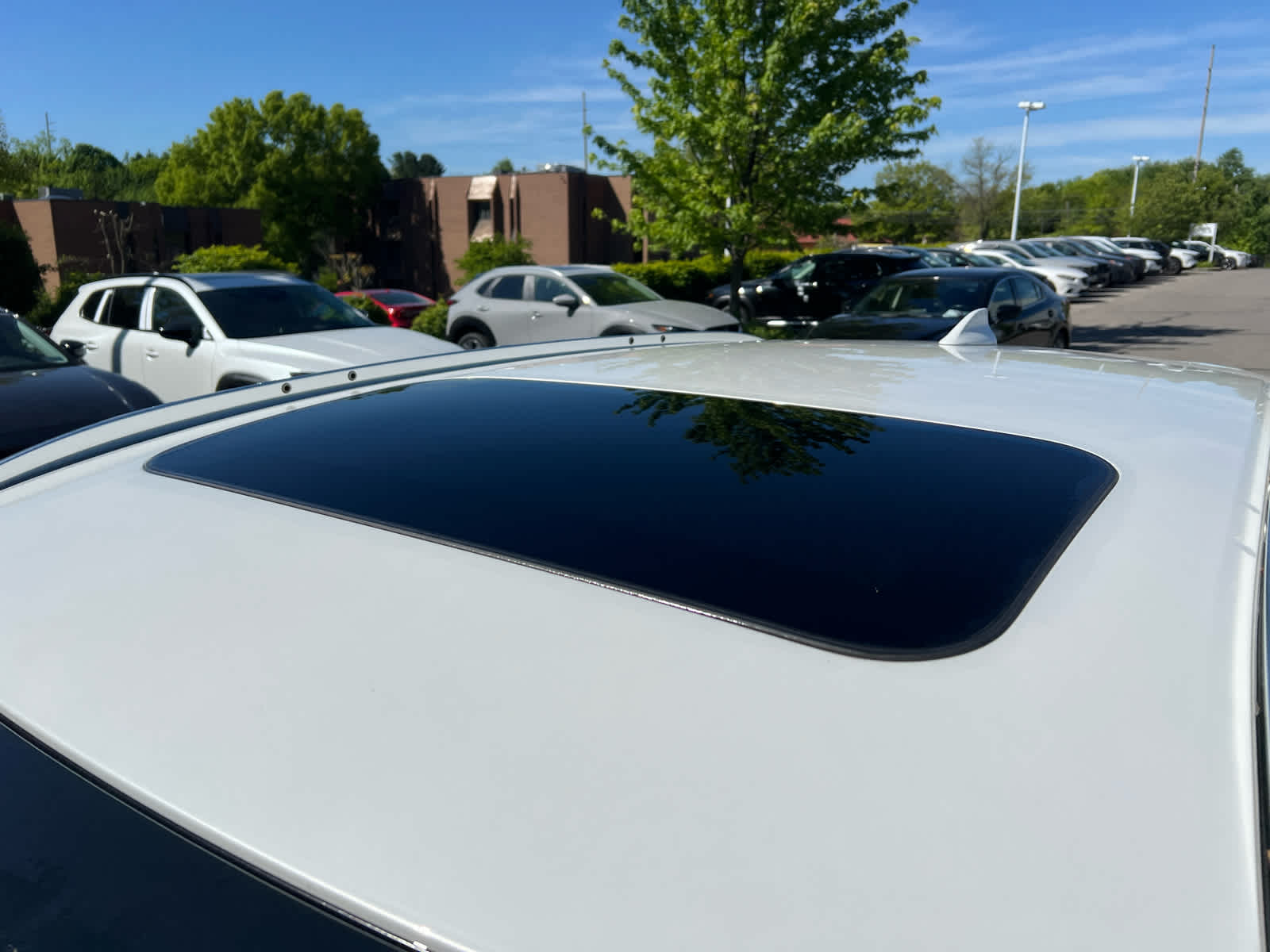 2025 Mazda CX-5 2.5 Turbo Signature Rhodium White Metallic at Diehl Automotive