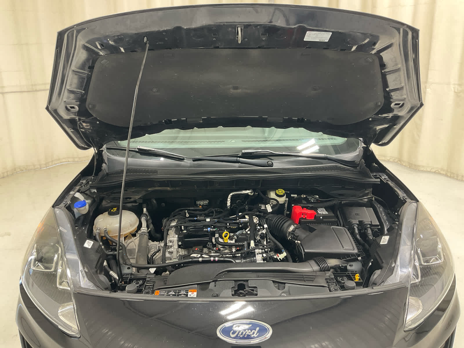 Used 2020 Ford Escape SUV
