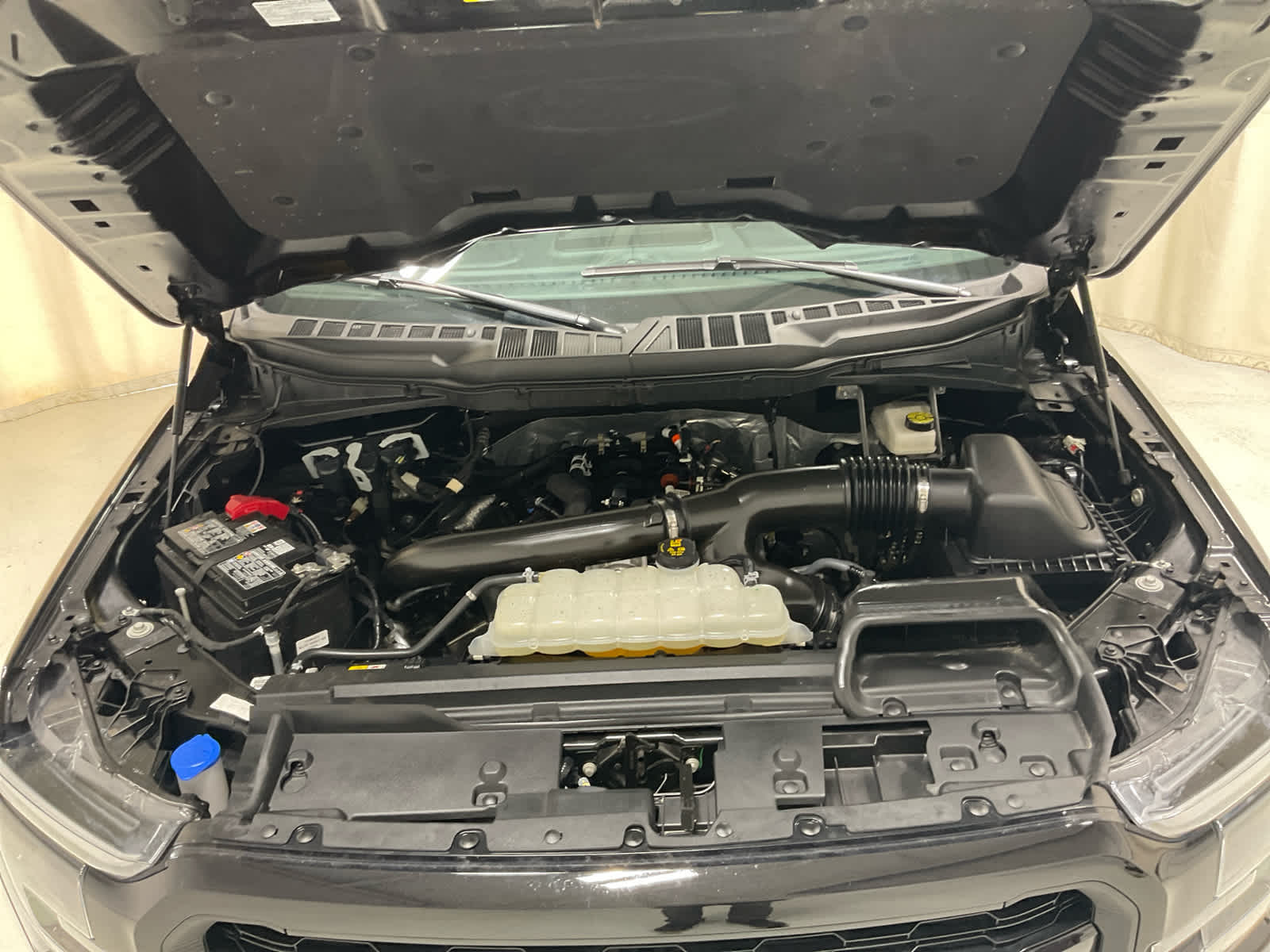 Used 2025 Ford F-150 Truck