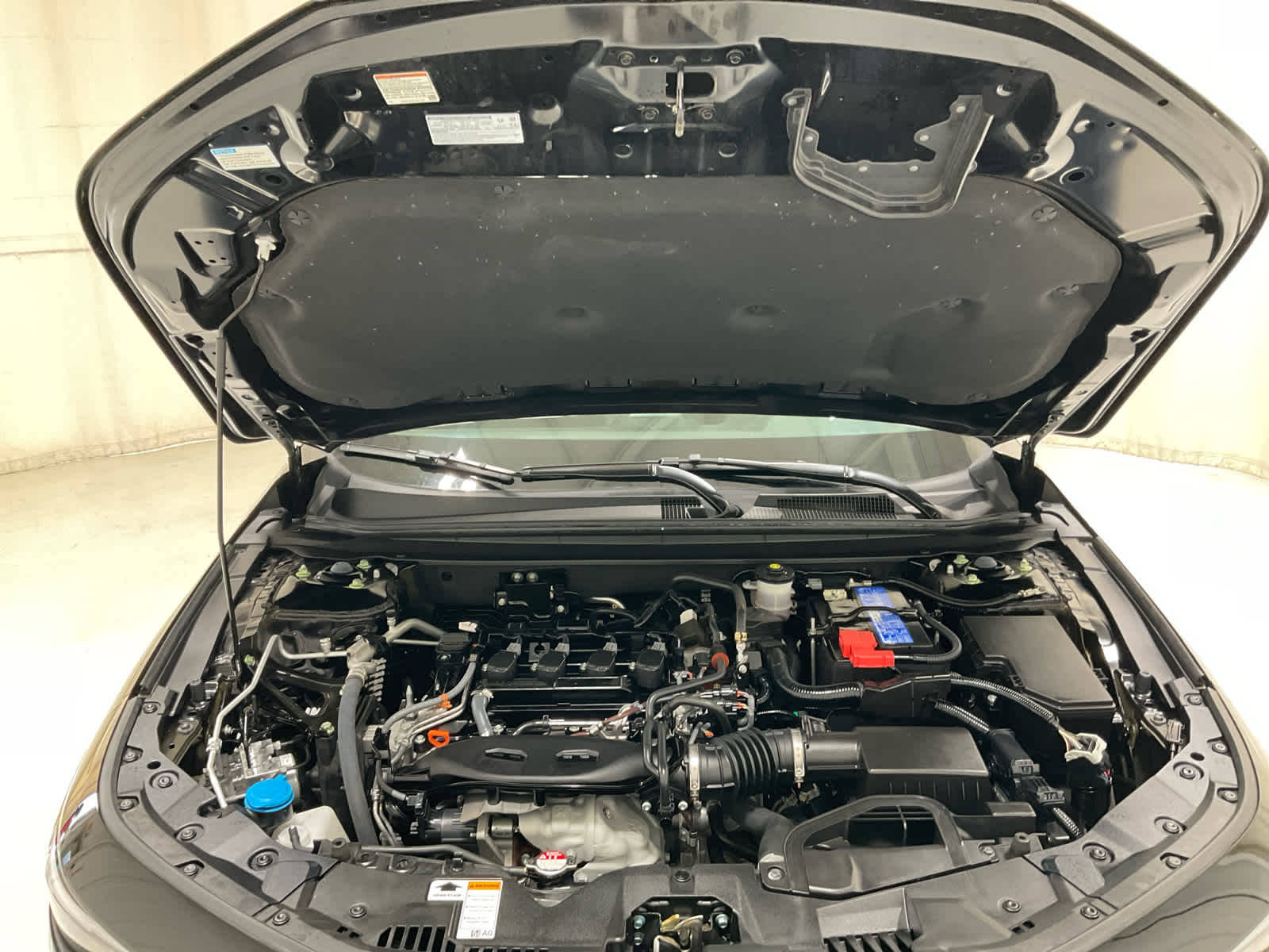 Used 2024 Honda Accord Sedan