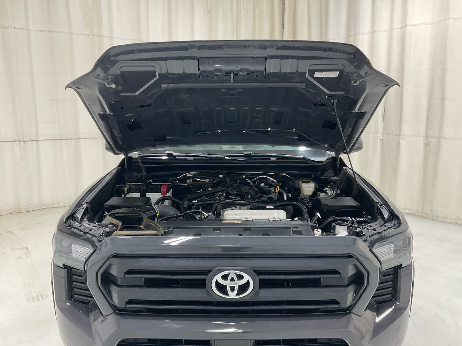 Used 2025 Toyota Tacoma Truck