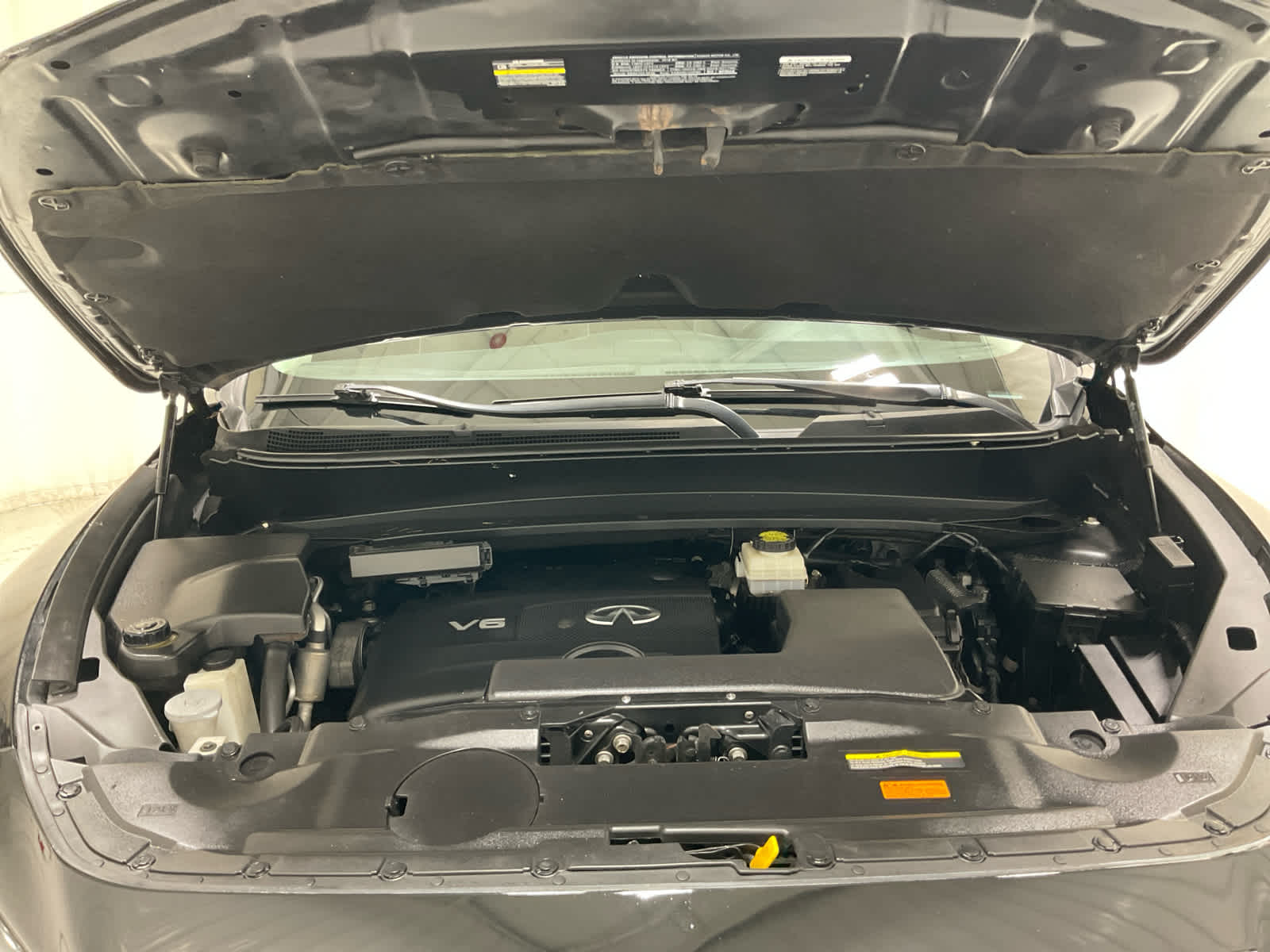 Used 2019 Infiniti QX60 SUV